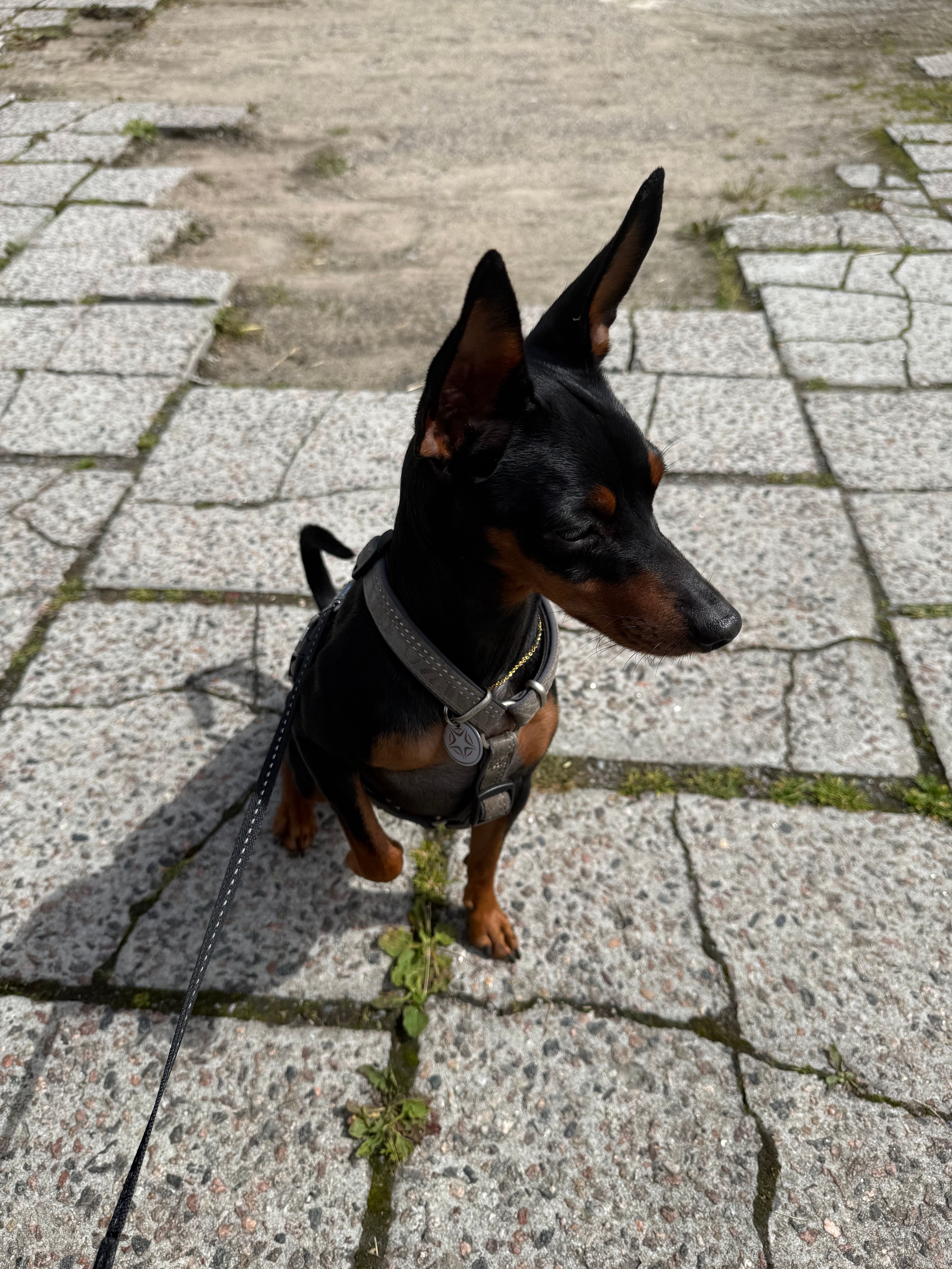 image-6