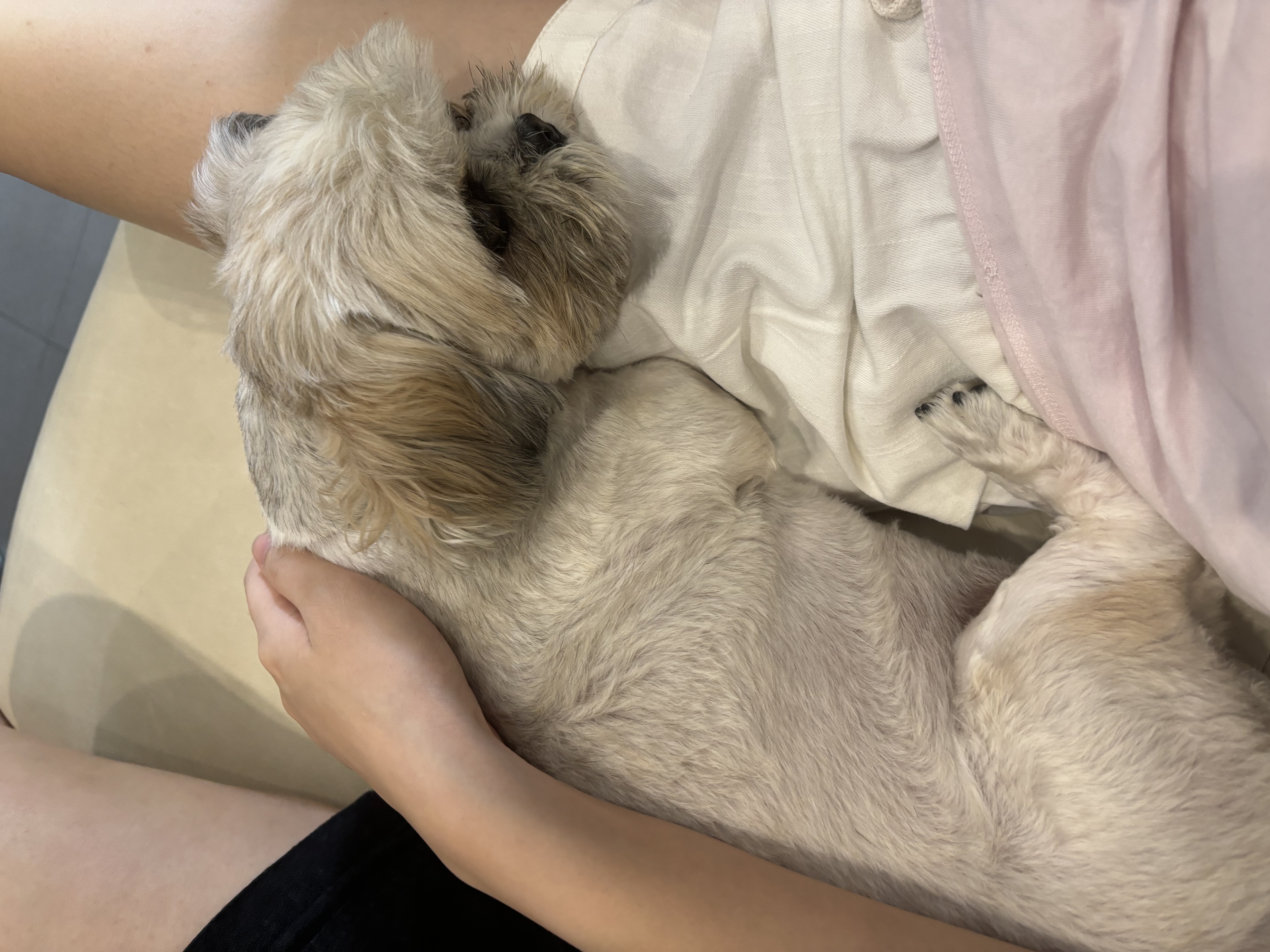 image-8