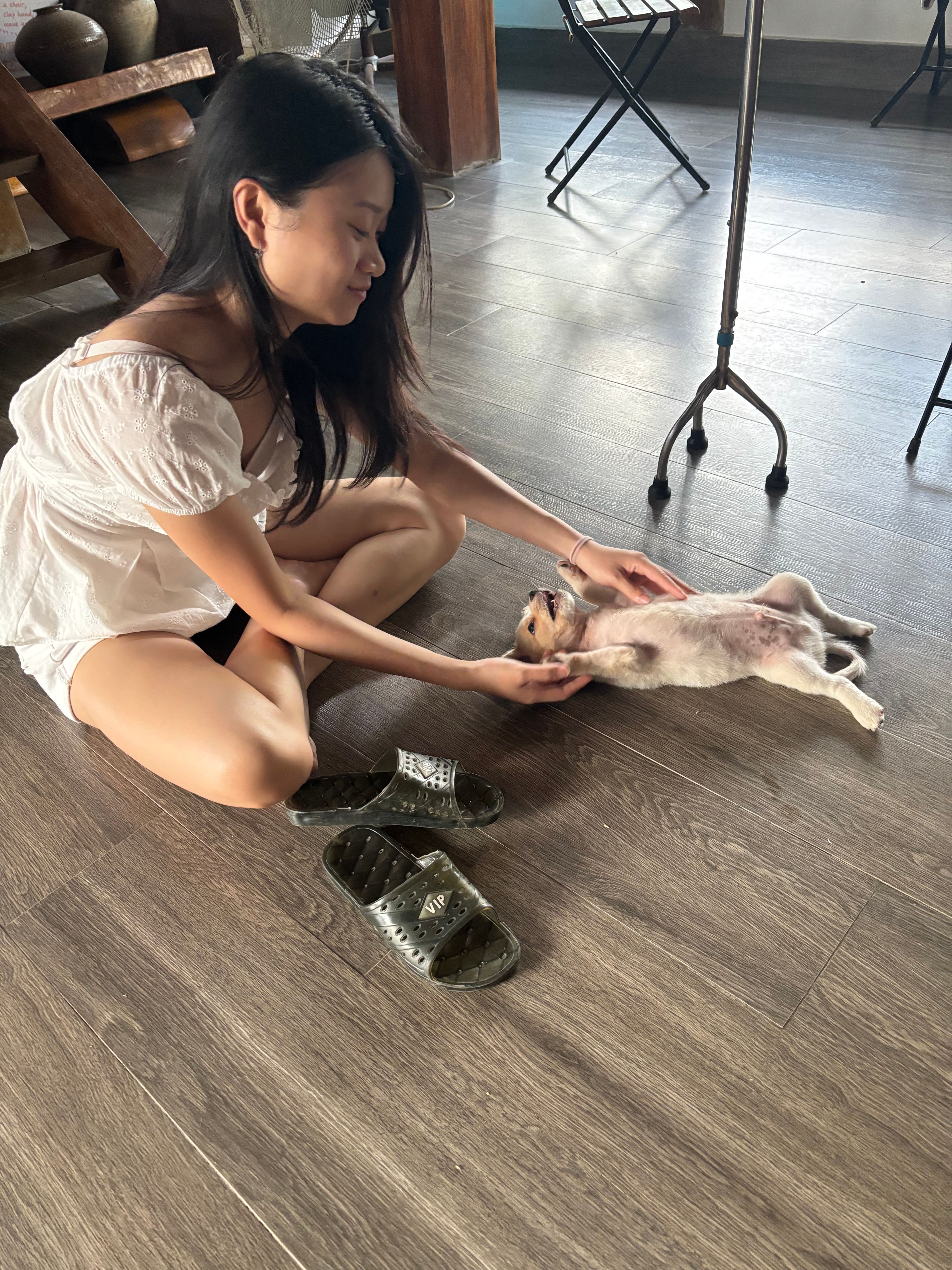 image-7
