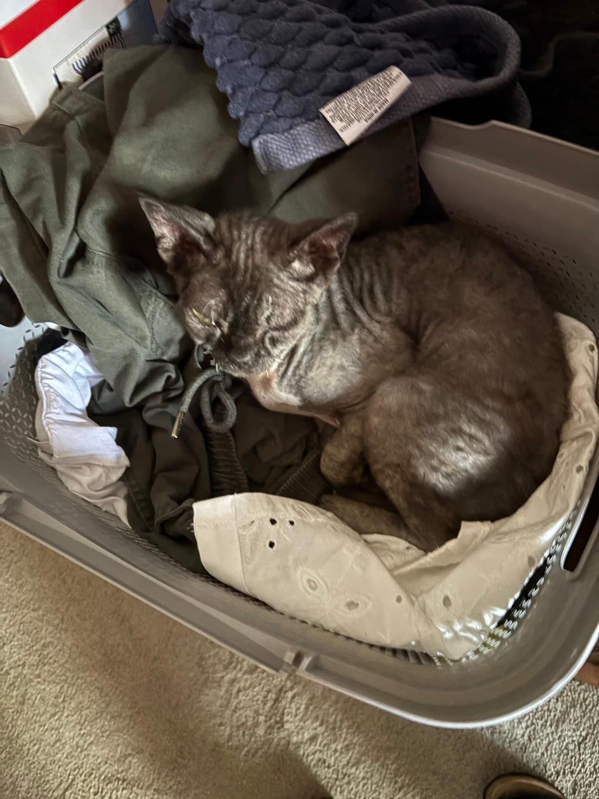 image-6