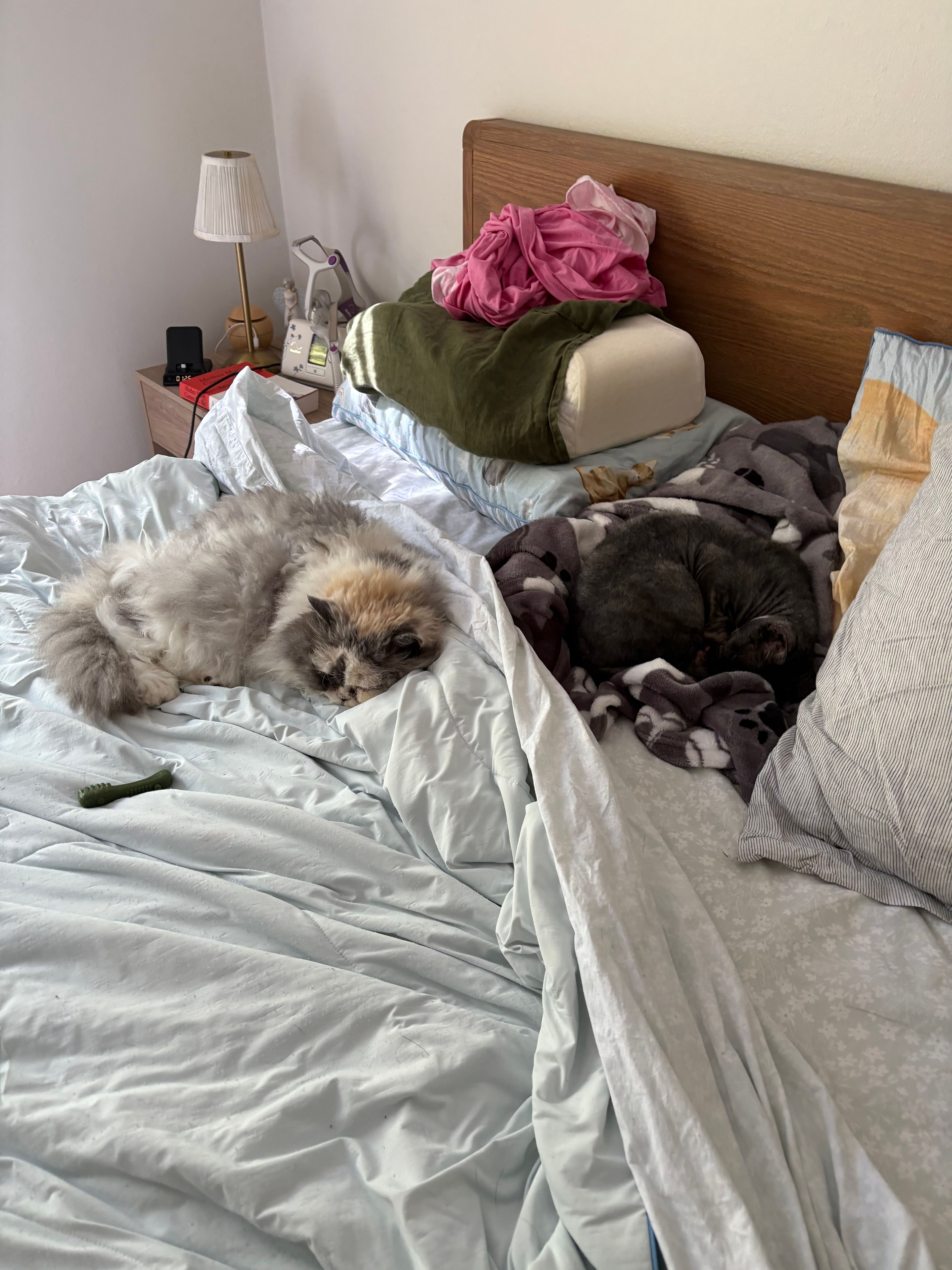 image-12