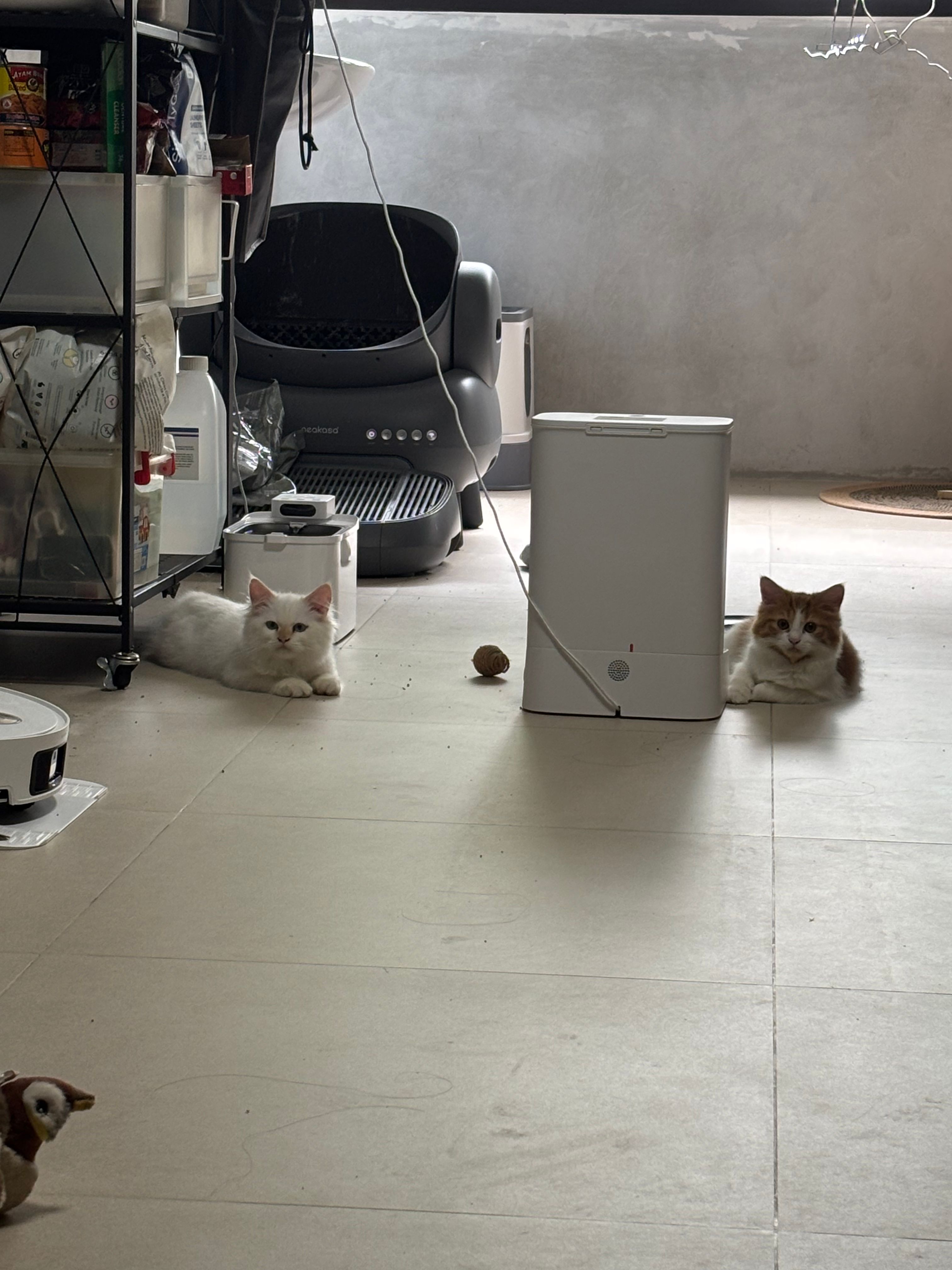 image-8