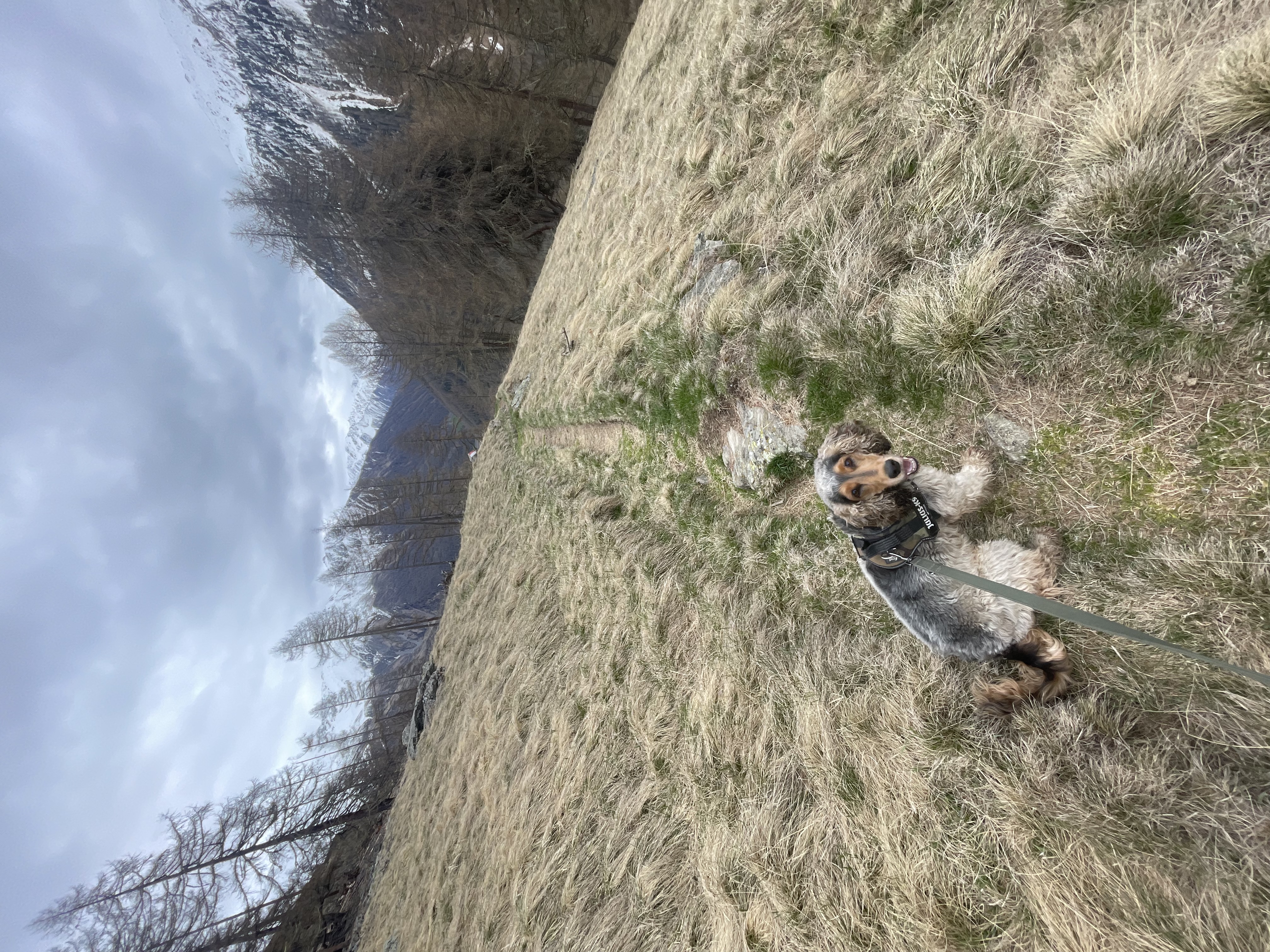 image-15