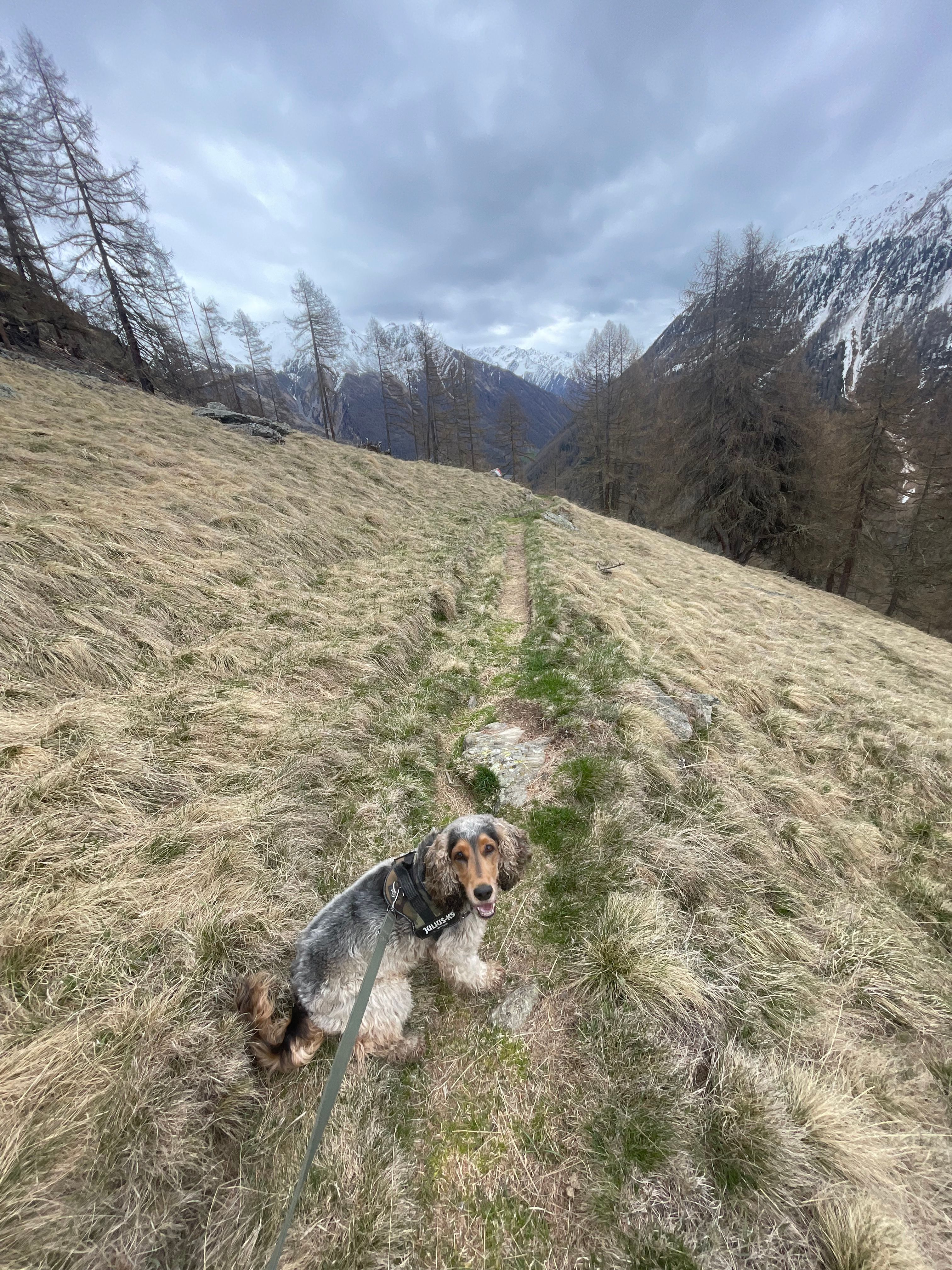 image-15
