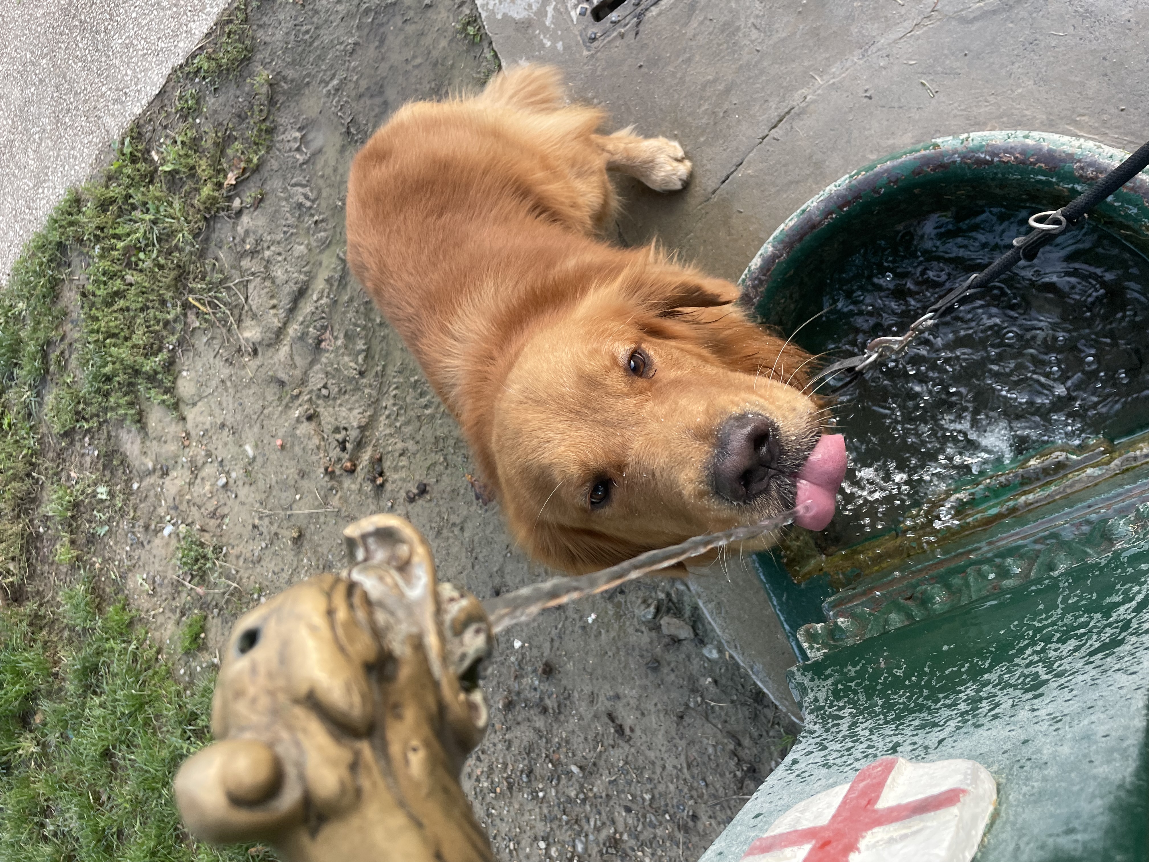 image-10