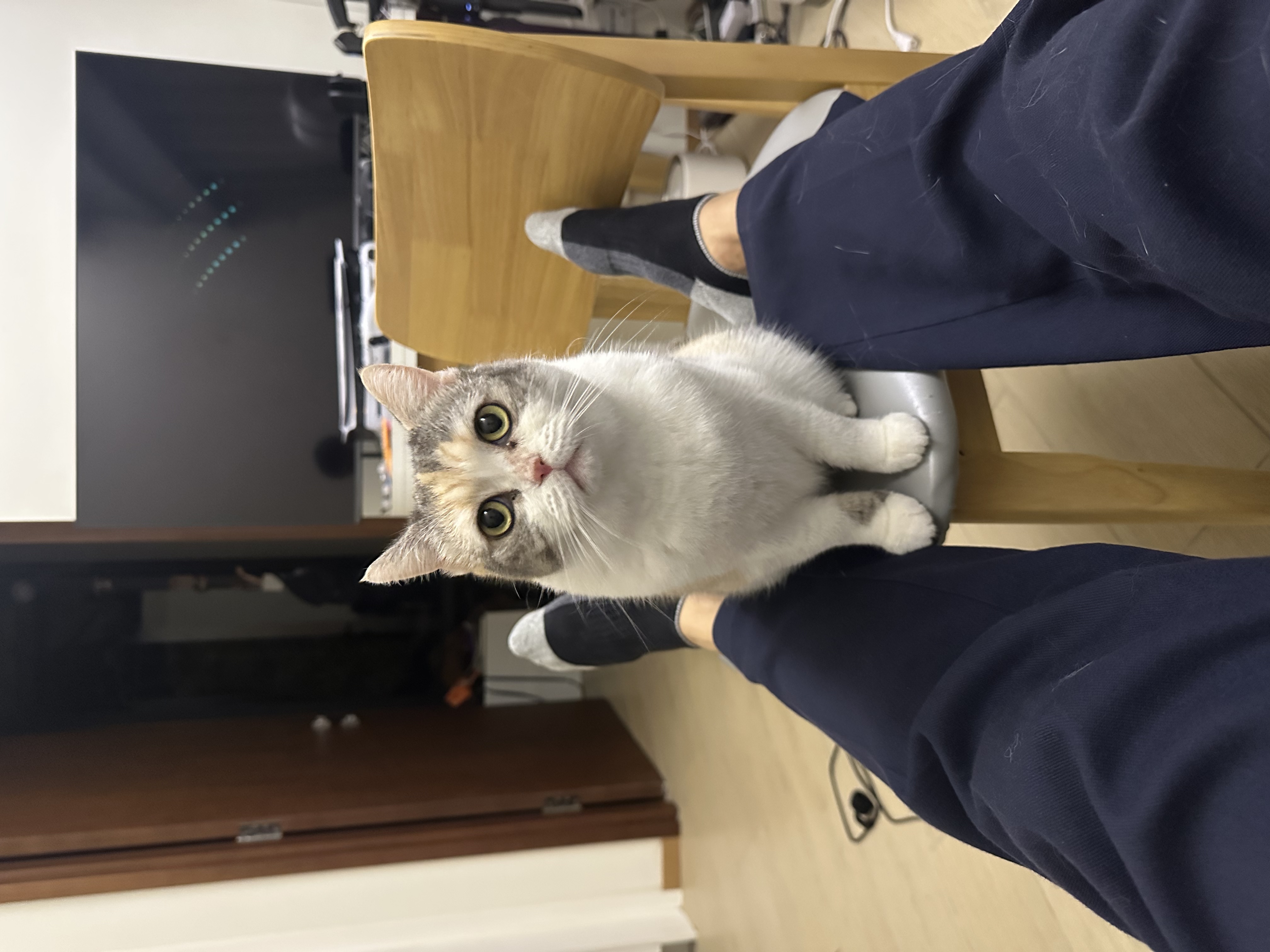 image-8