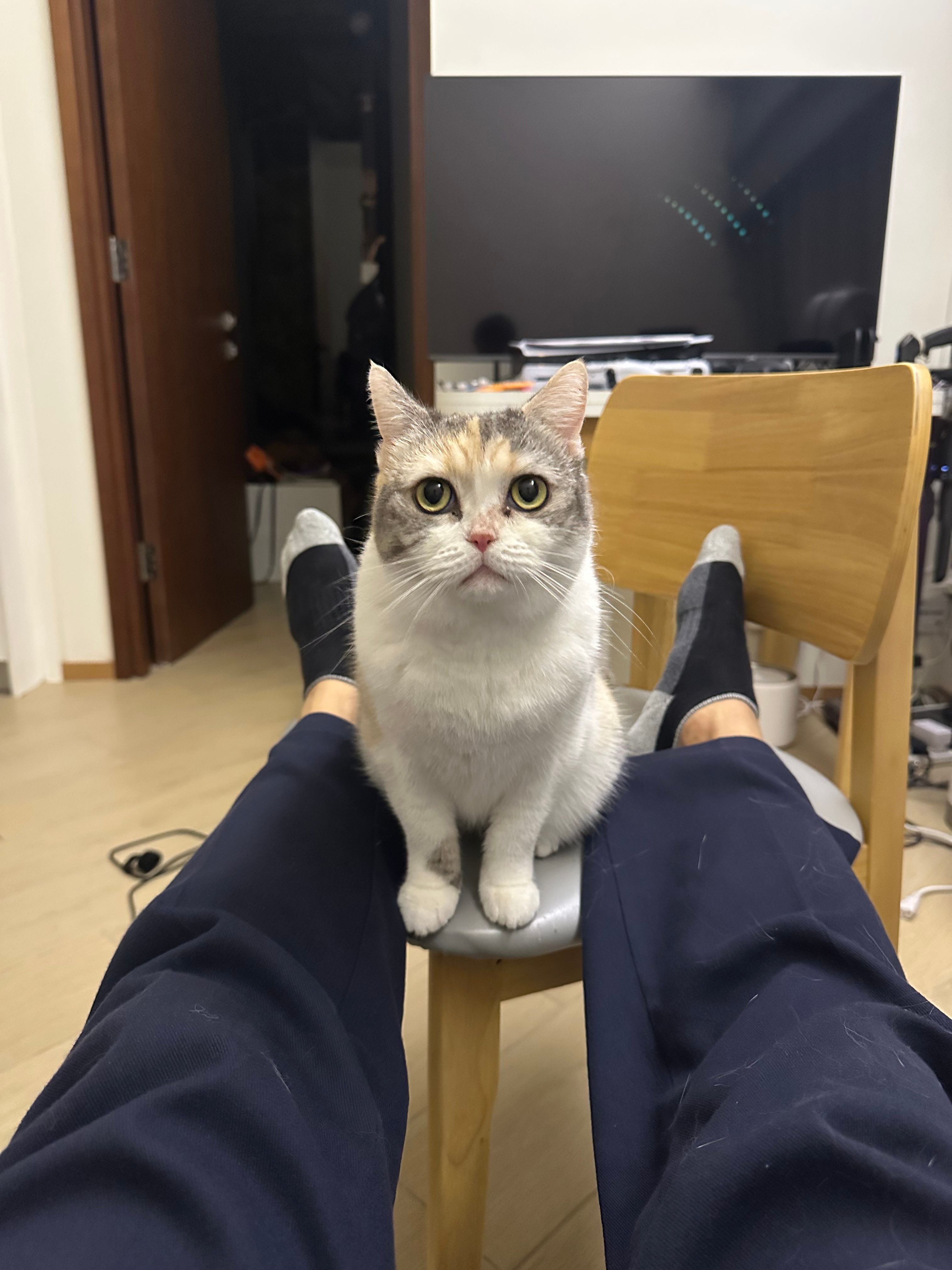 image-8
