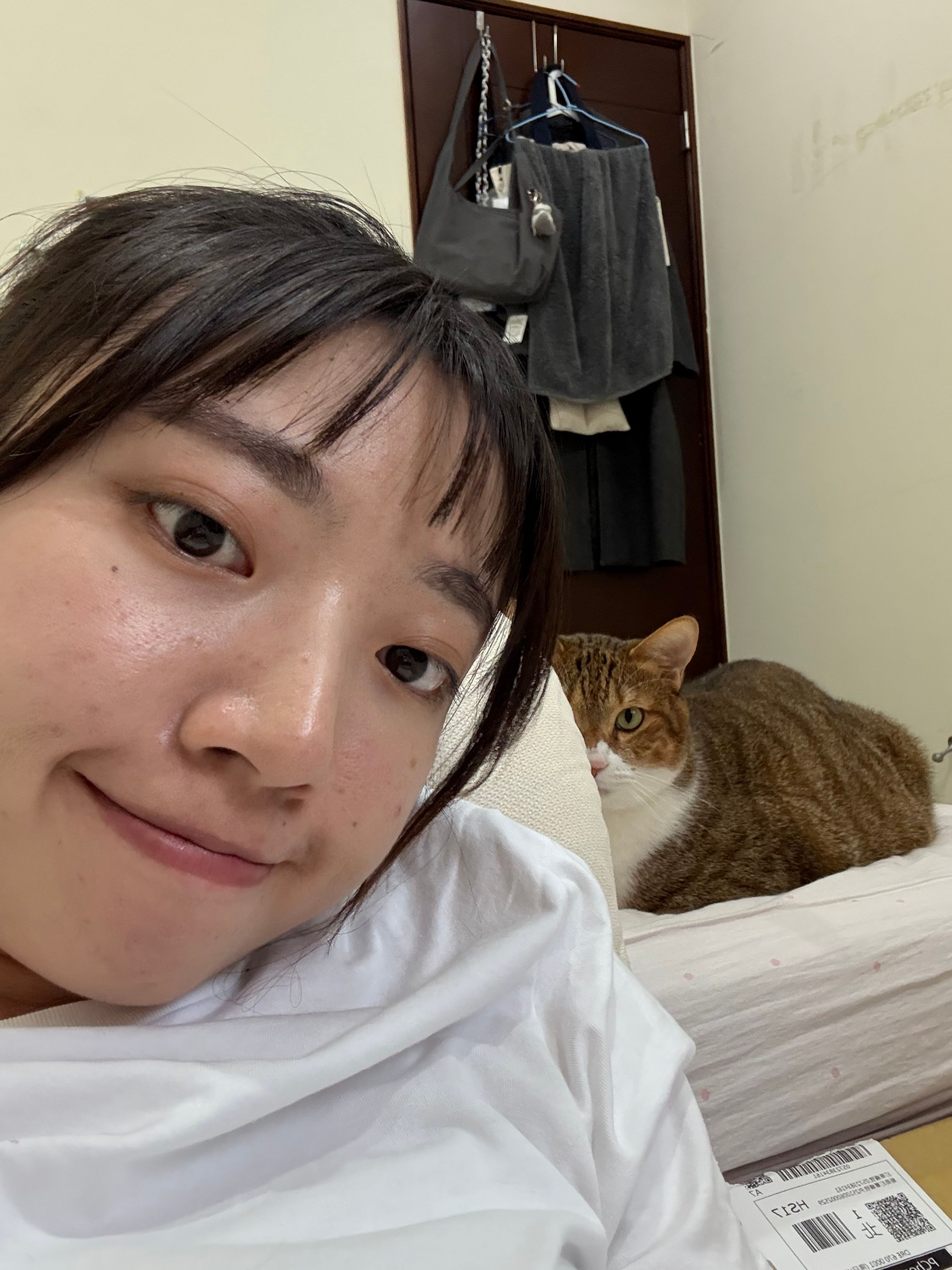 image-11