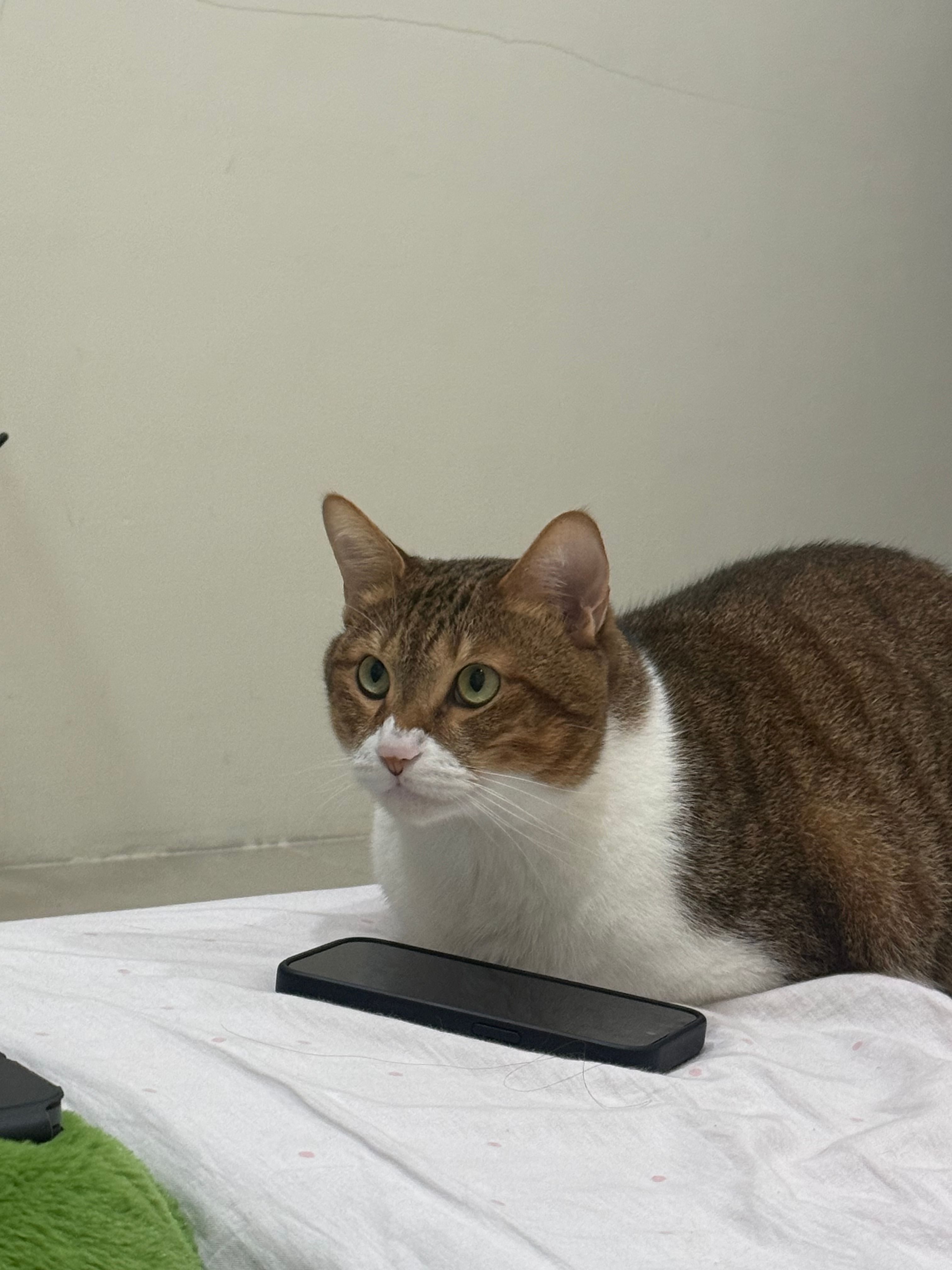 image-10