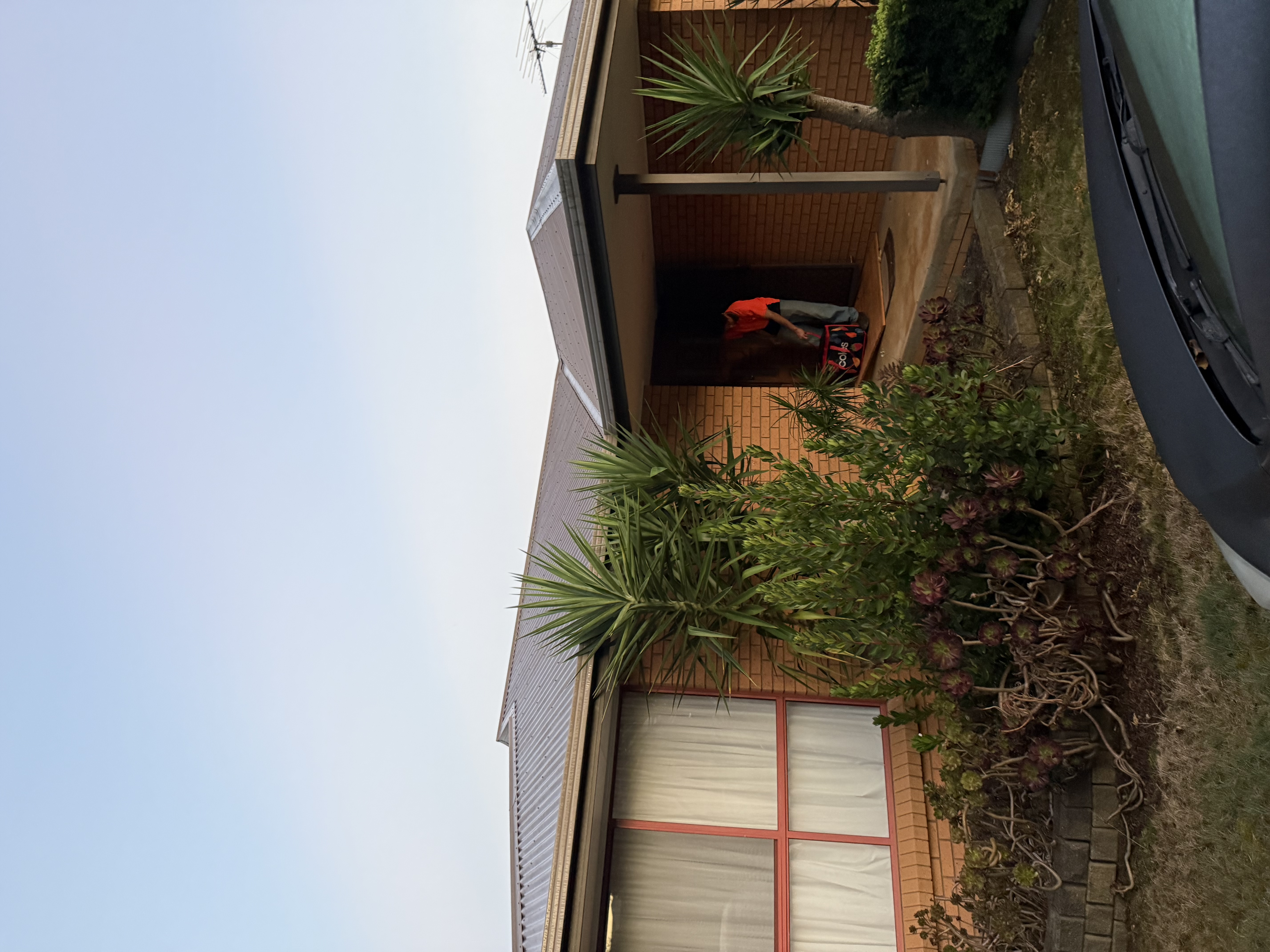 image-20