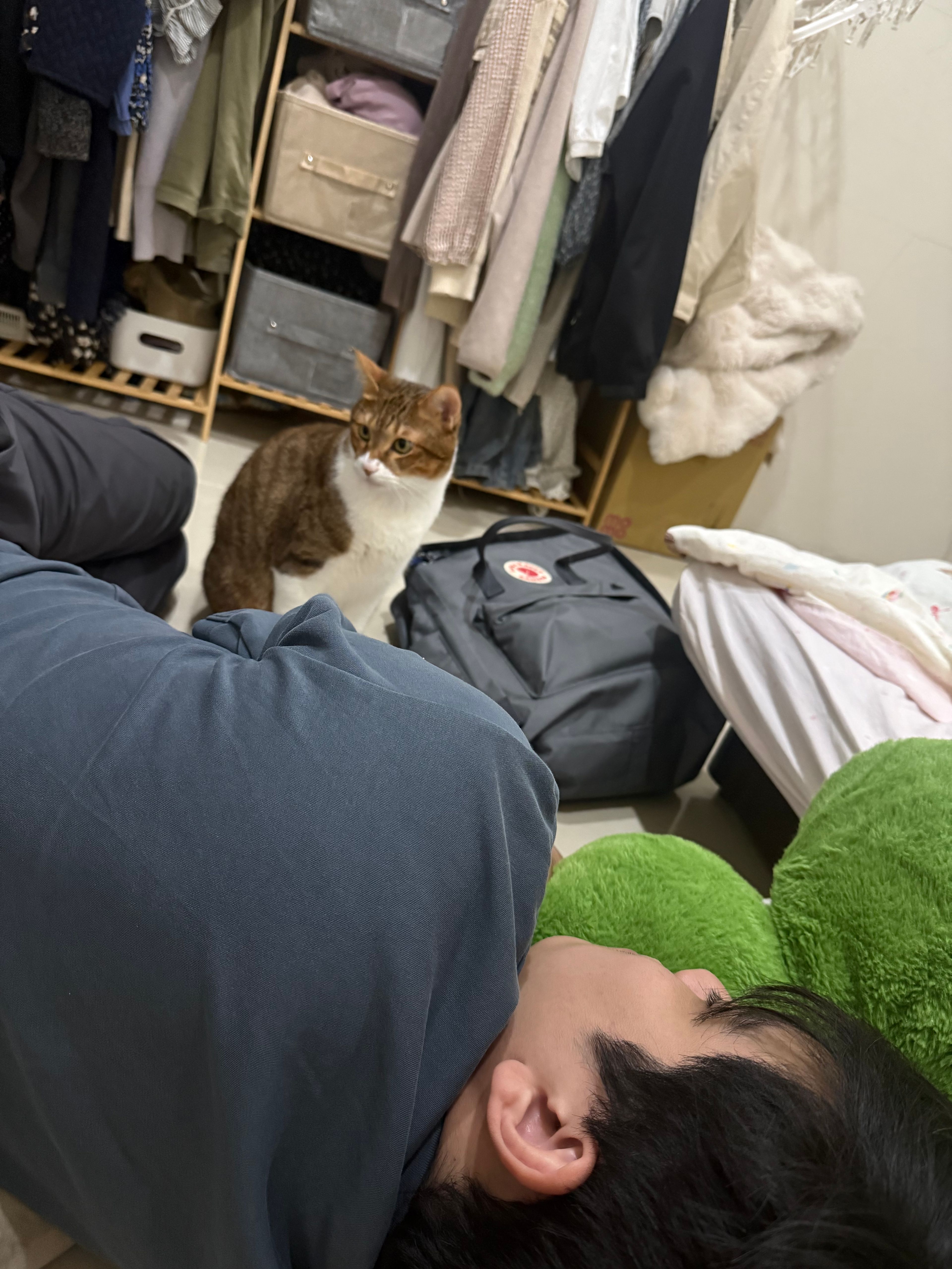 image-16