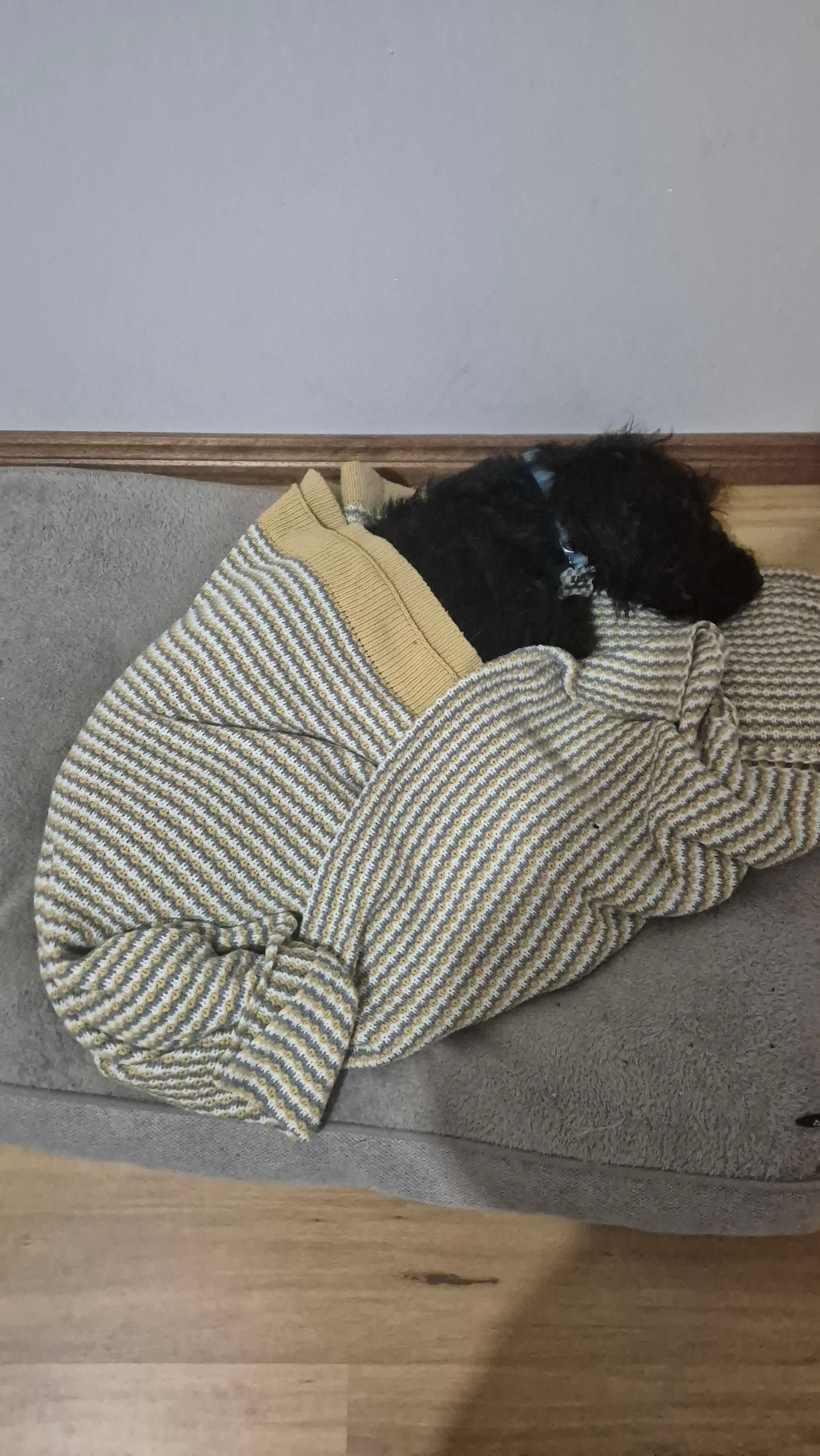 image-11