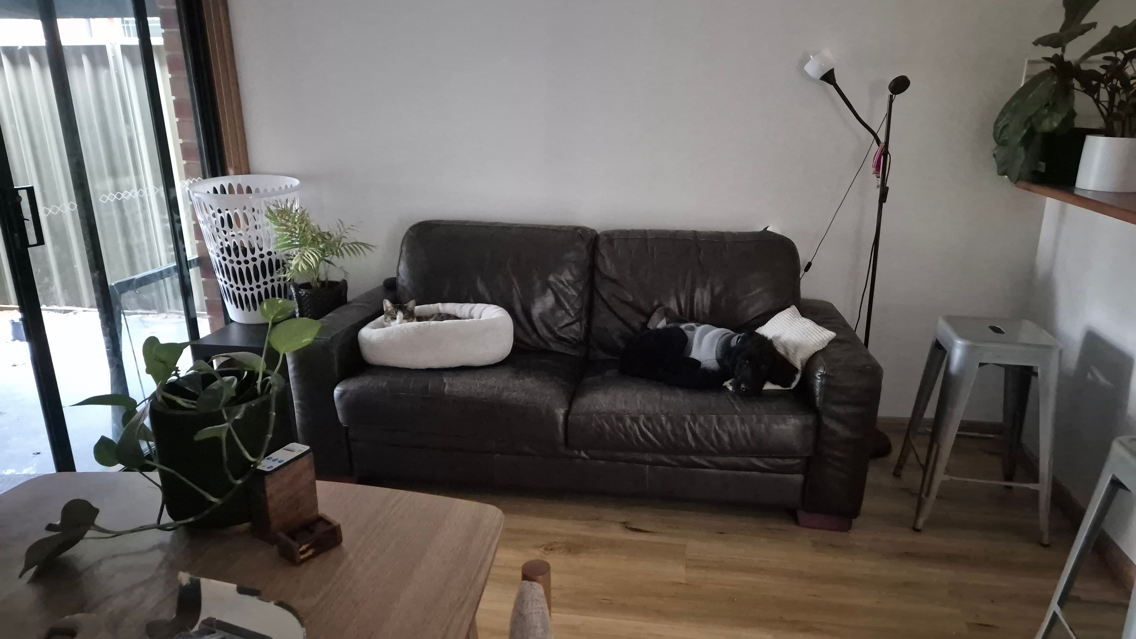 image-10