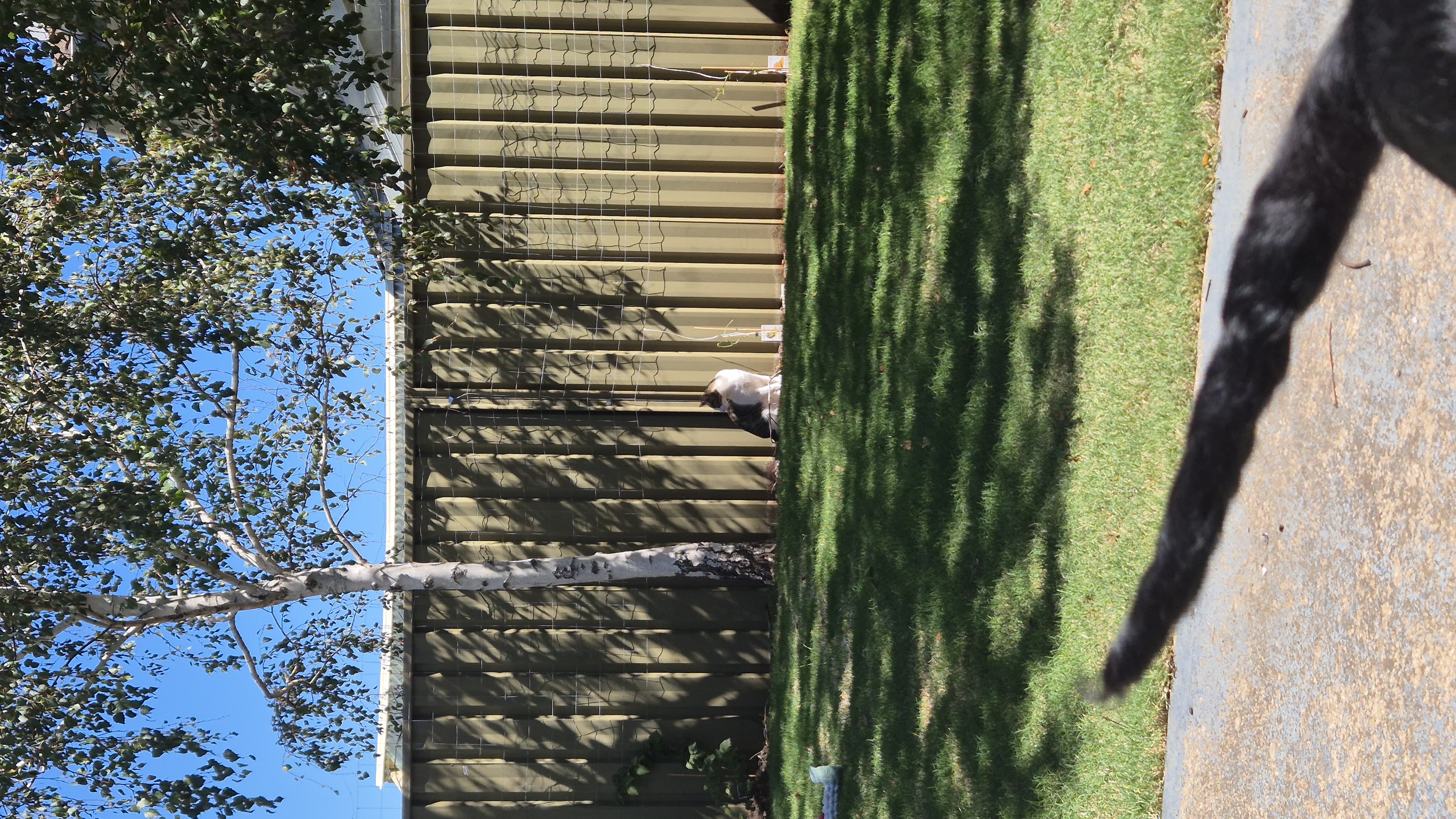 image-14