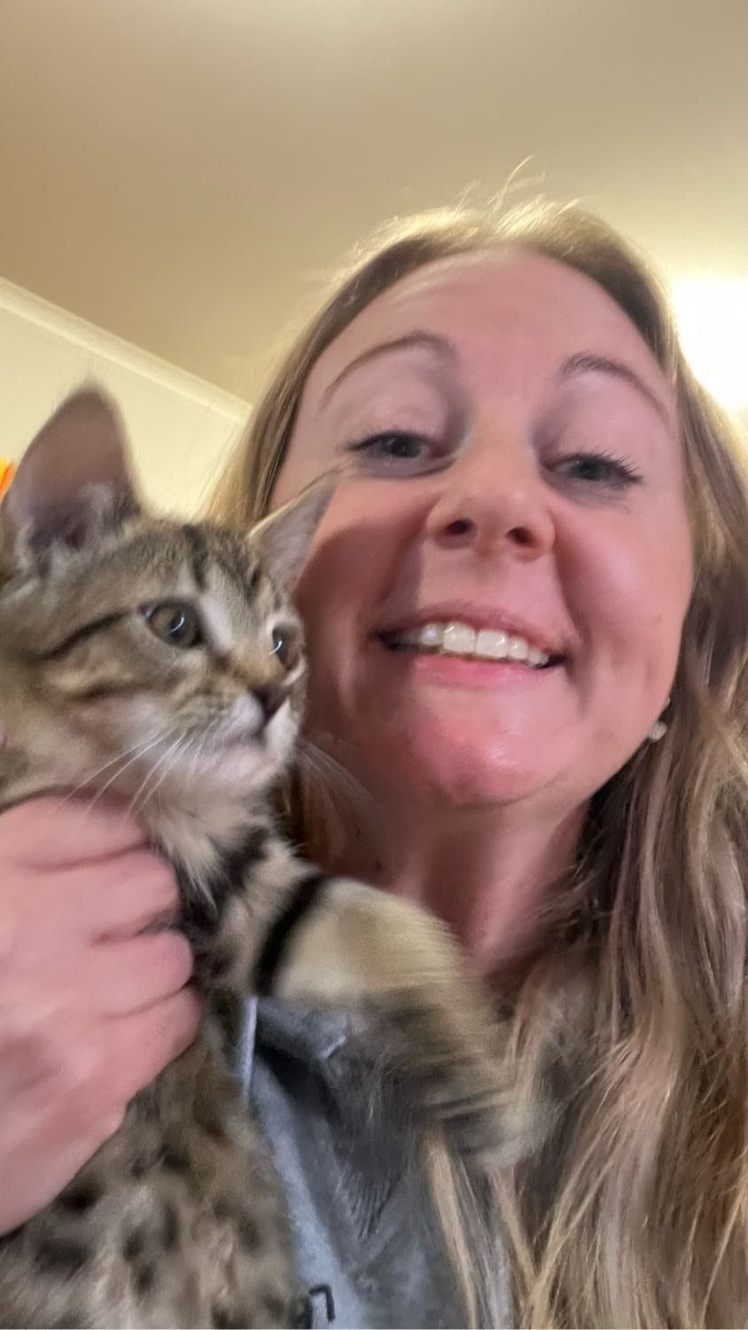 image-3