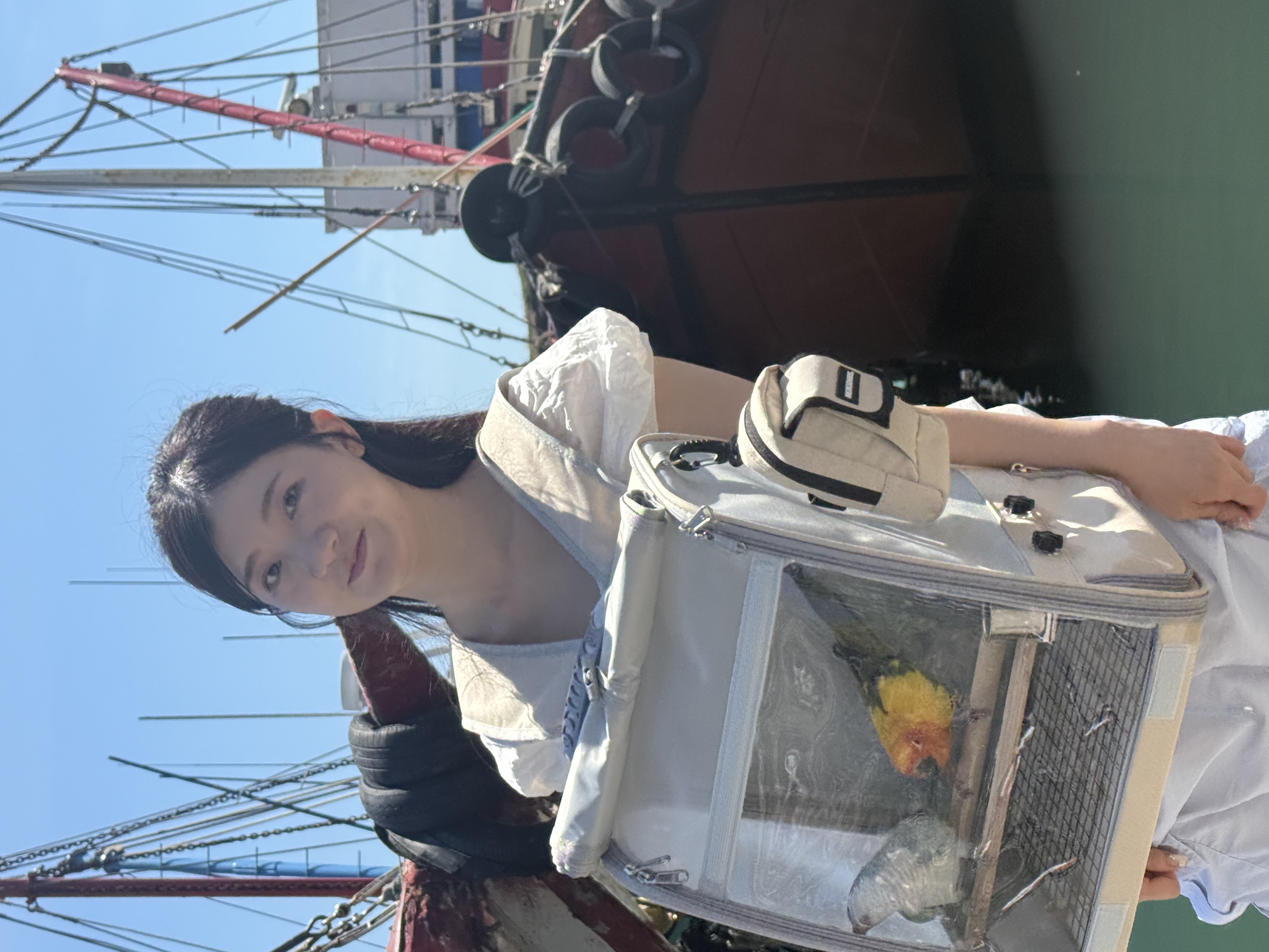 image-14
