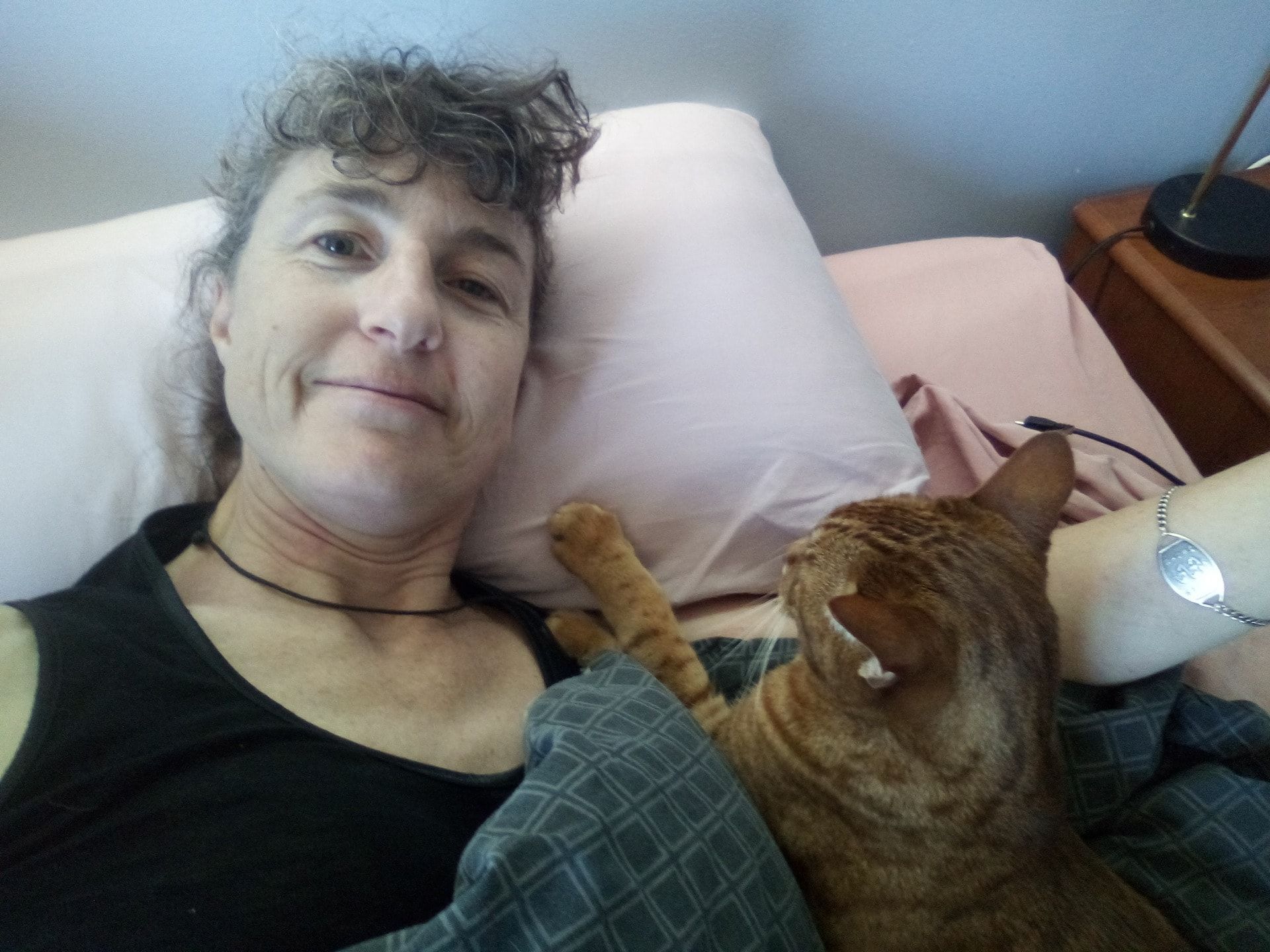image-7