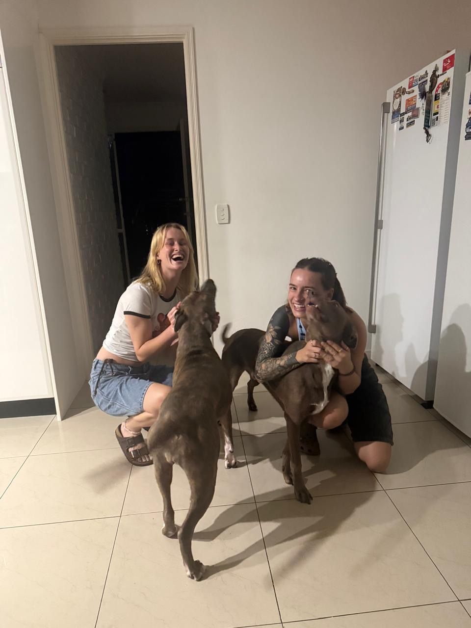 image-0