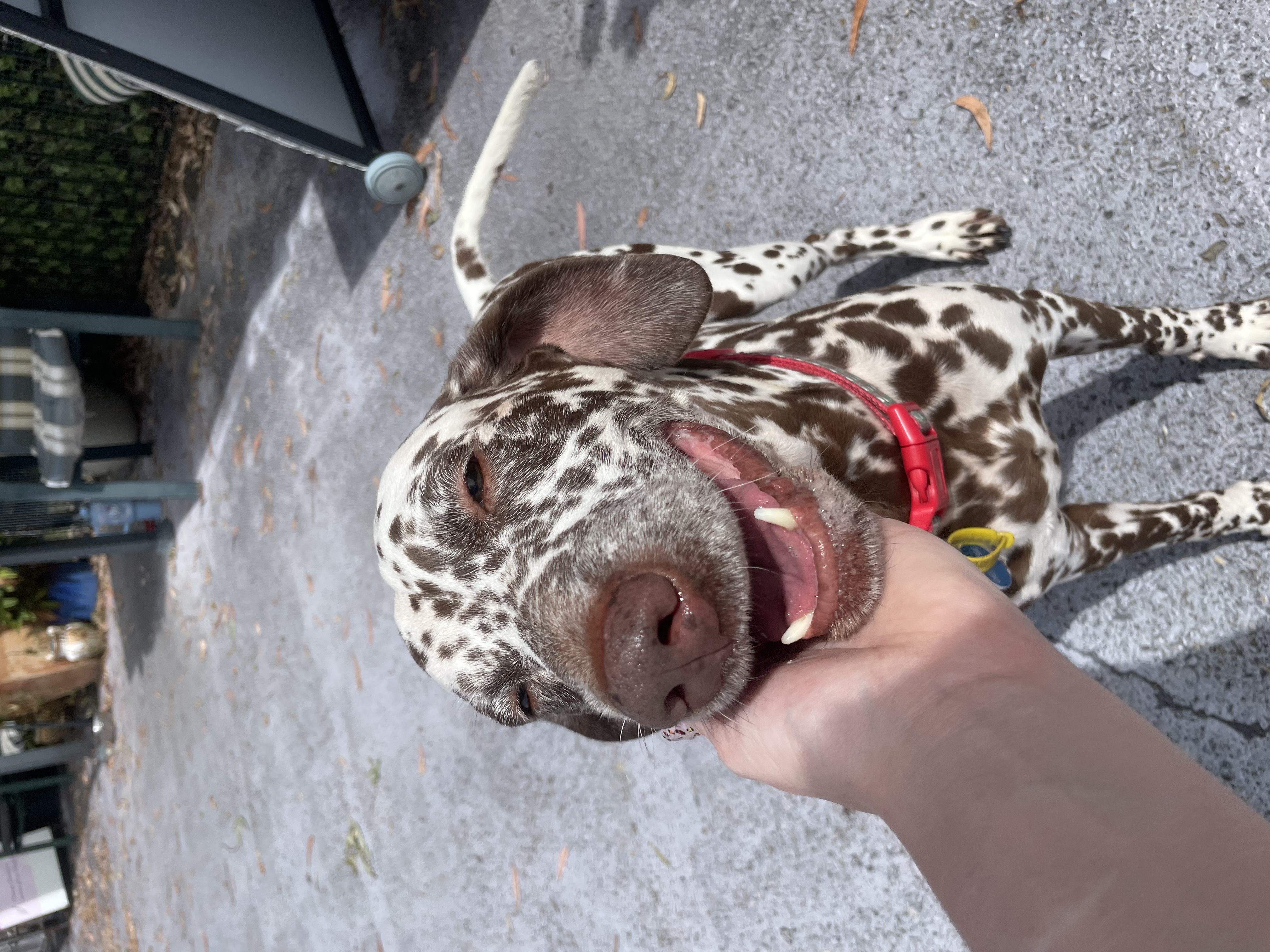 image-8