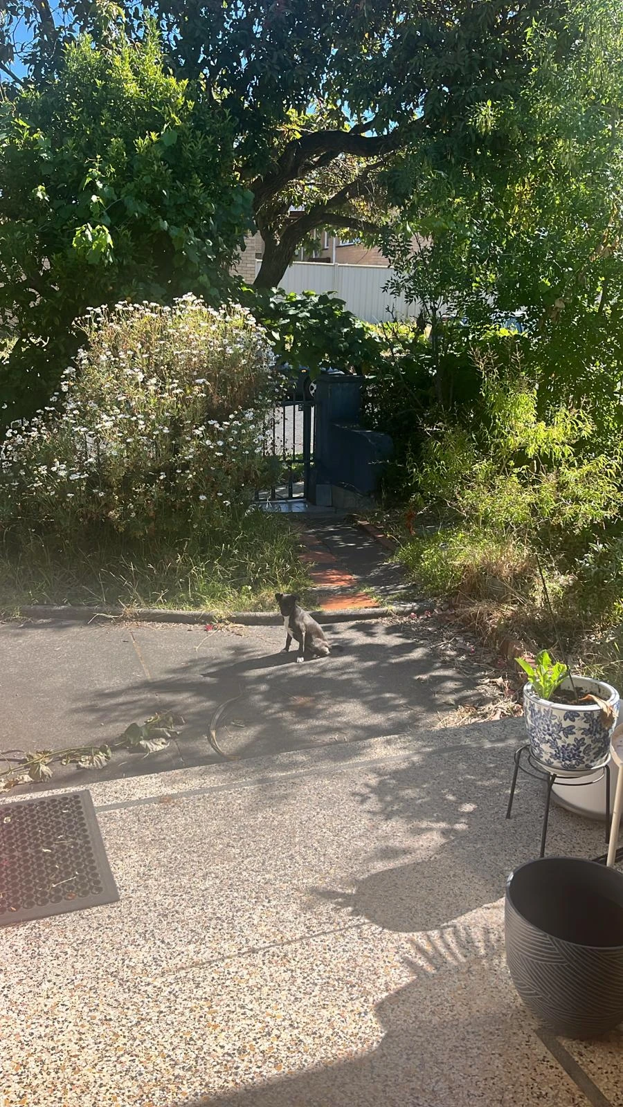 image-8