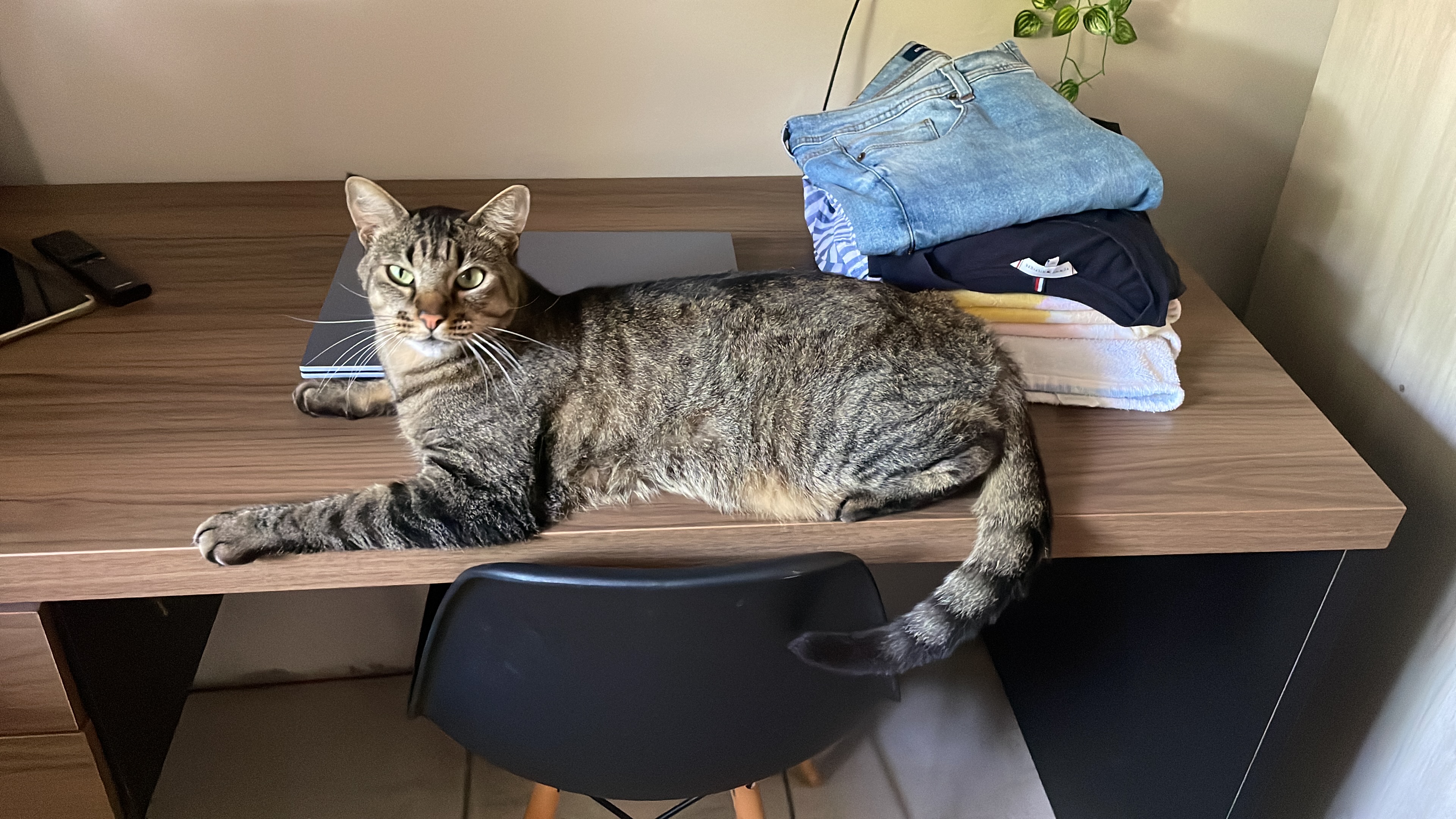 image-6
