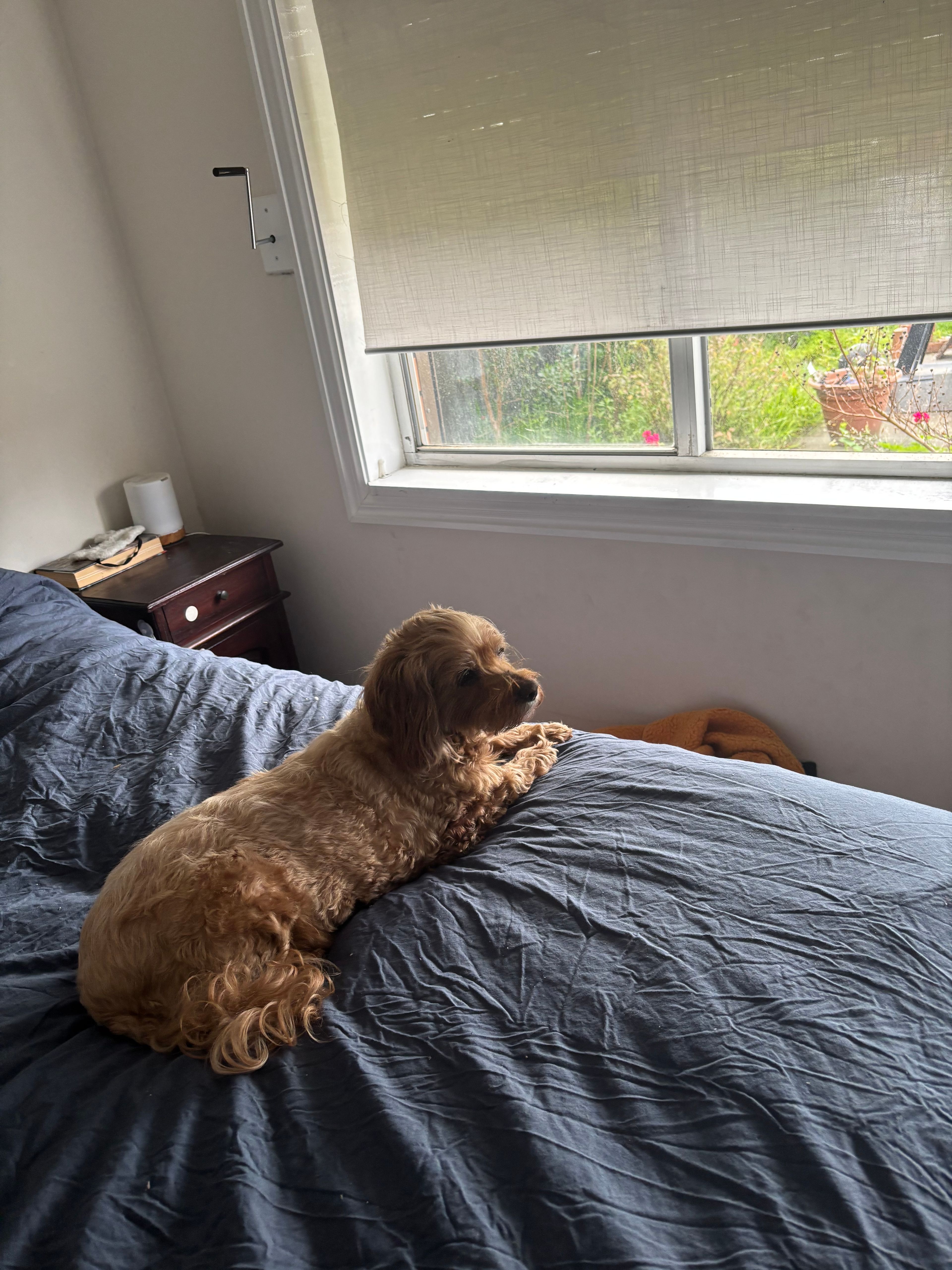 image-12