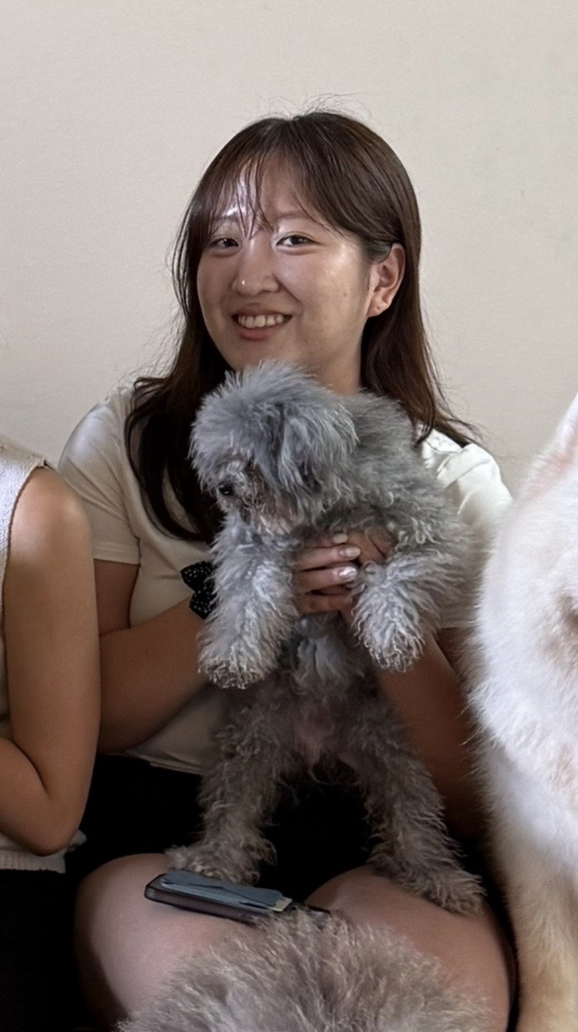 image-7