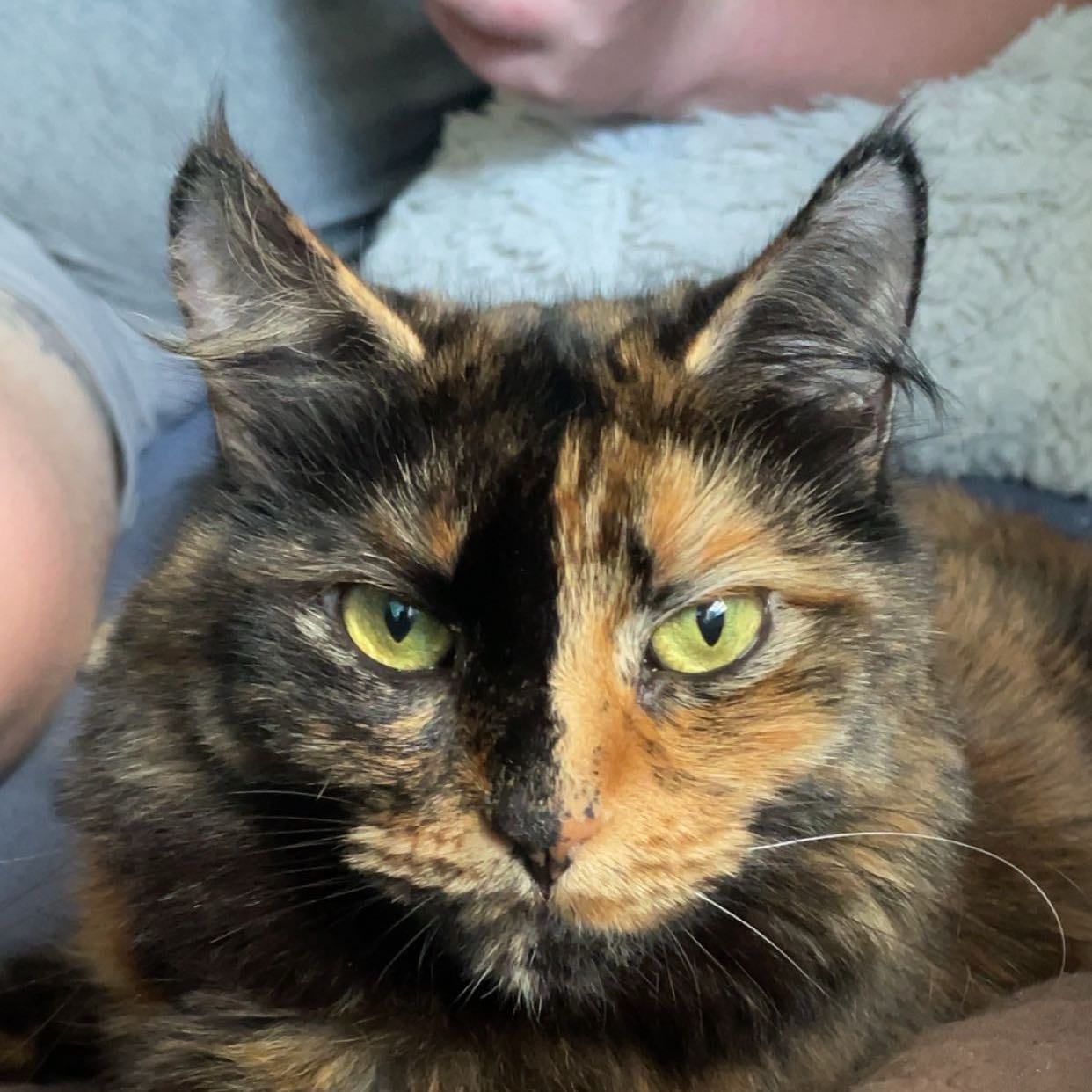 Angel