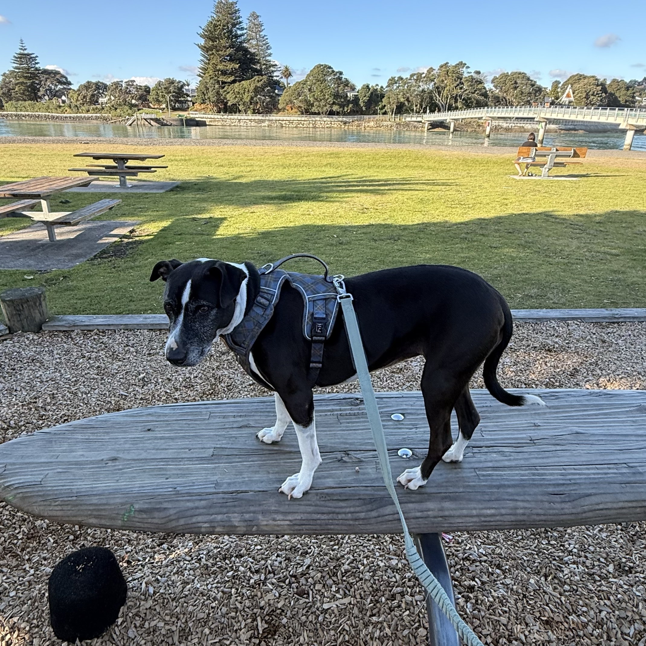Emmie