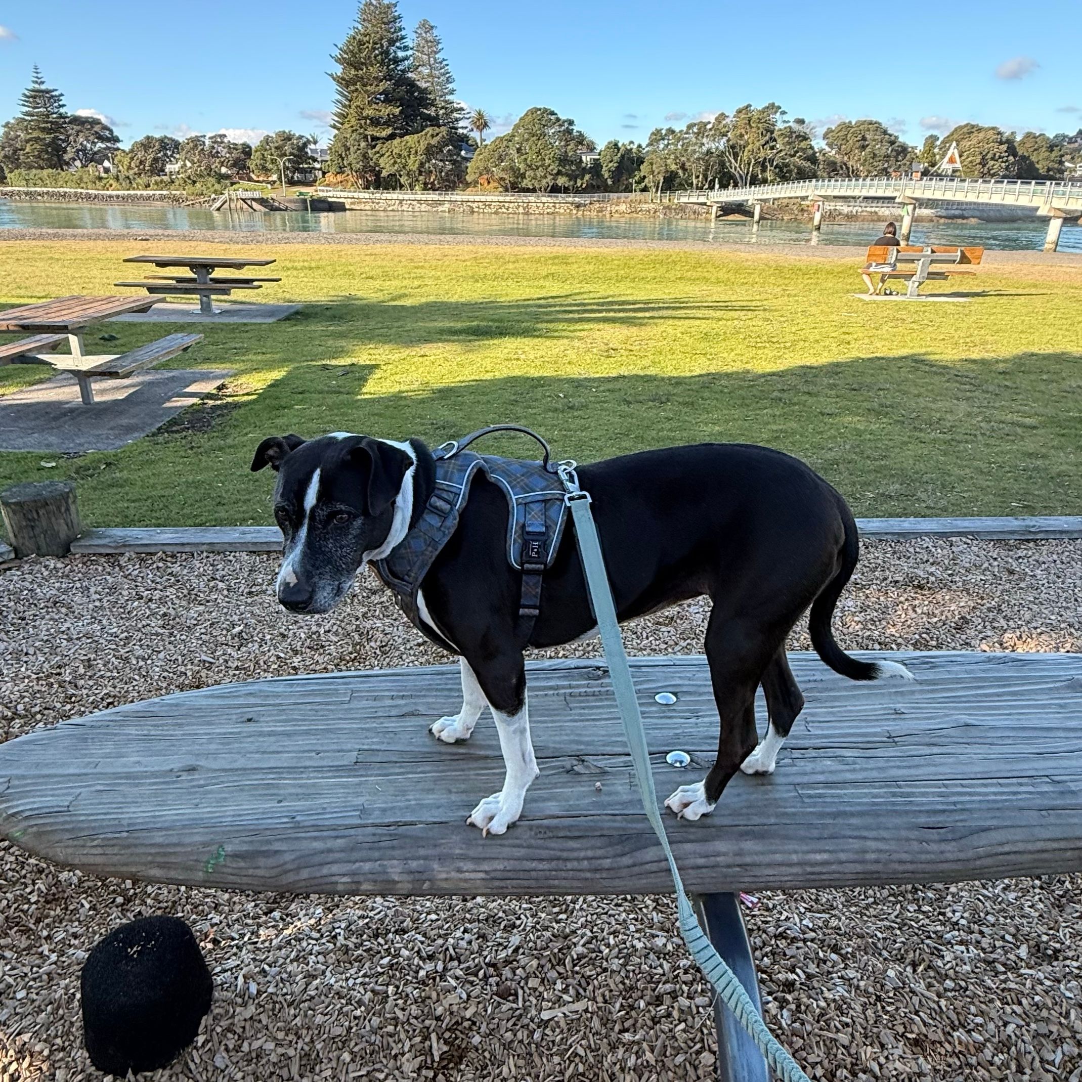 Emmie
