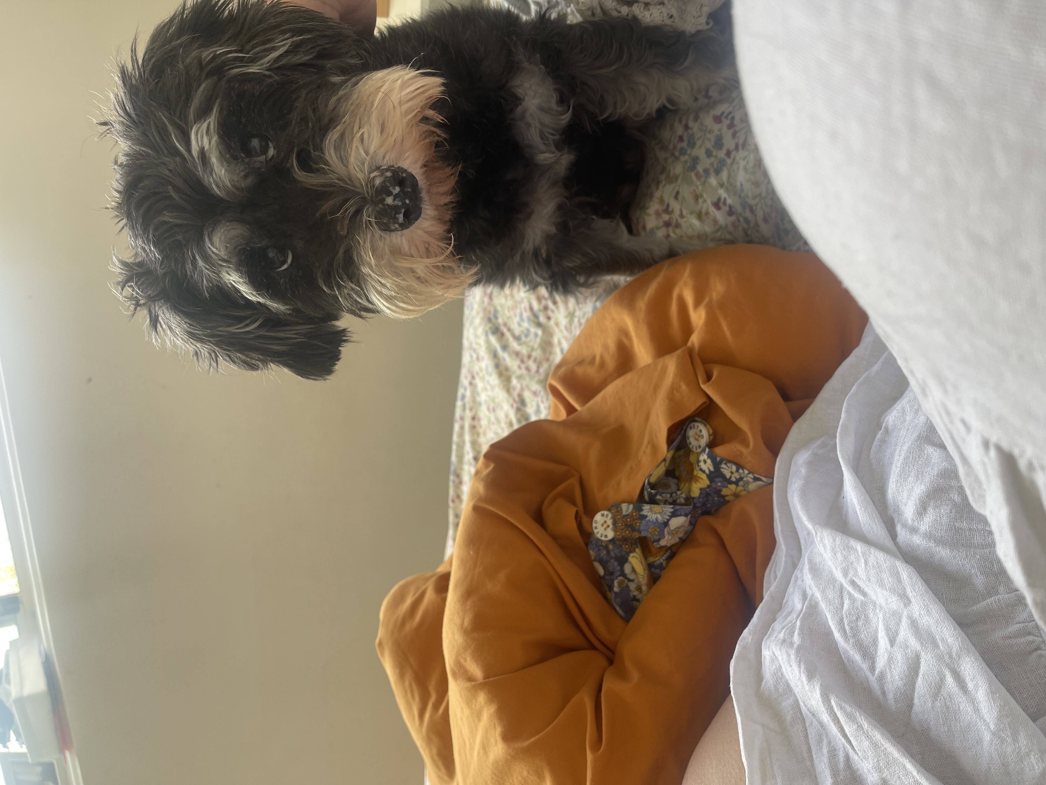 image-8