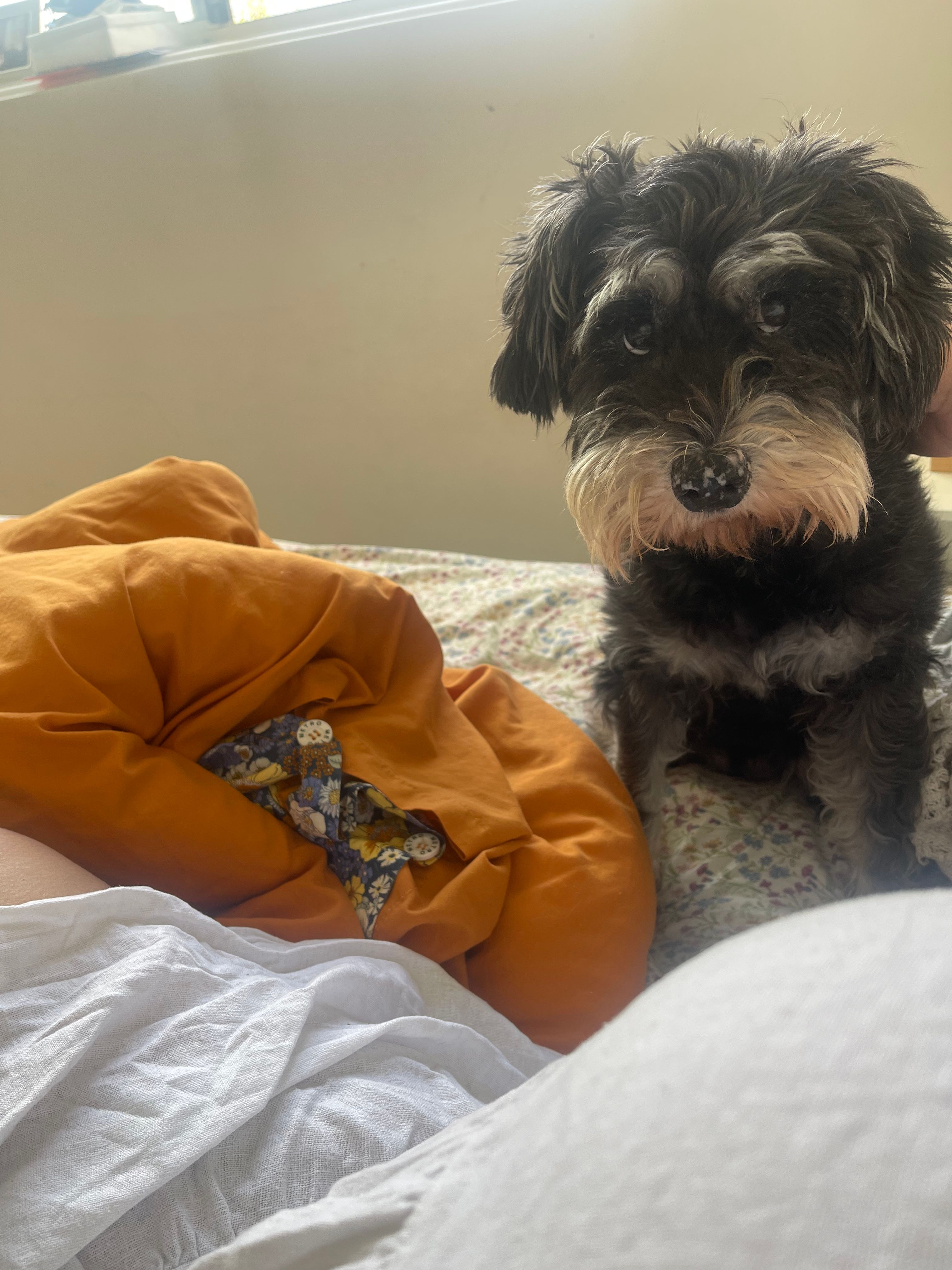 image-8