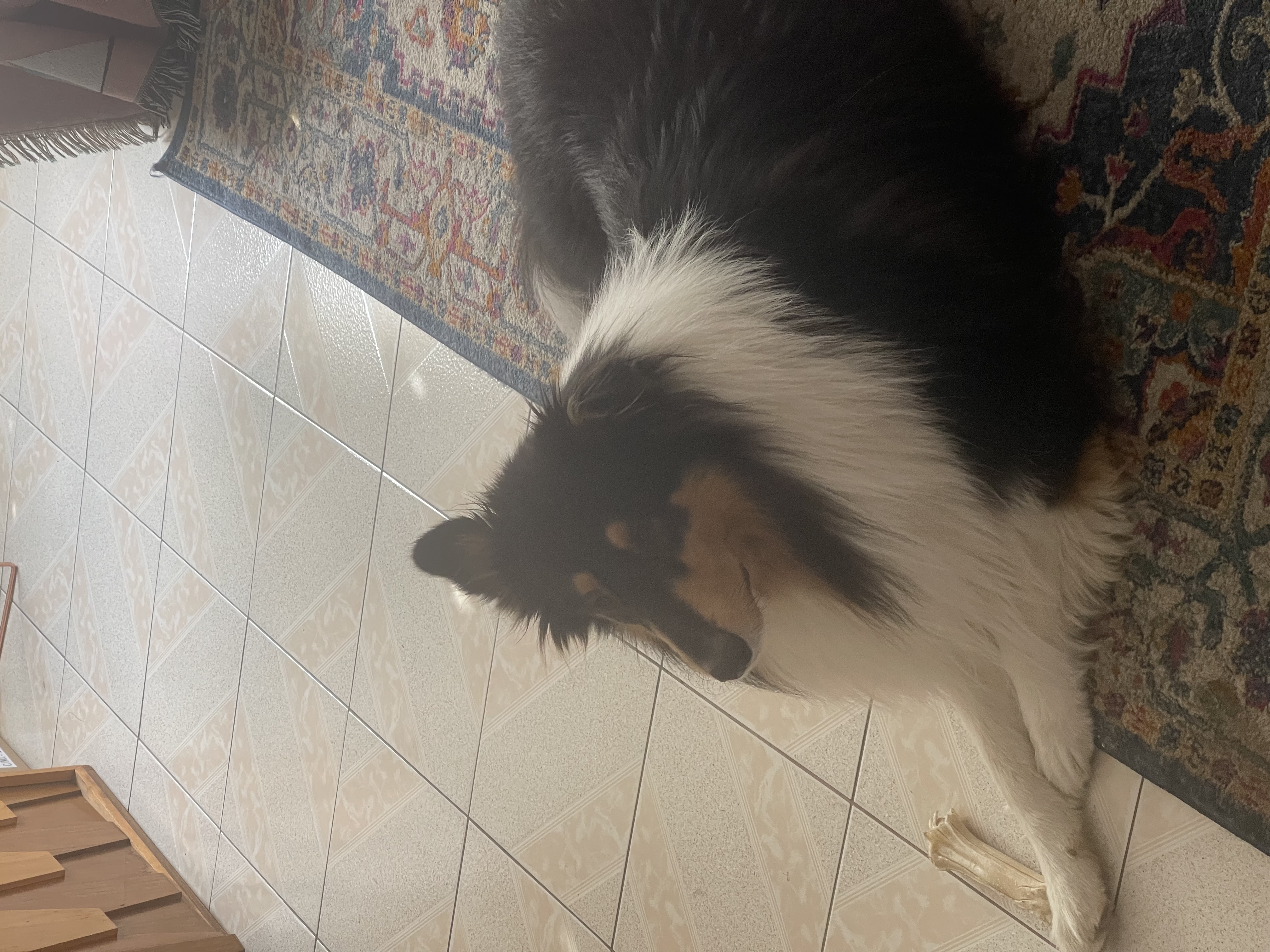 image-13