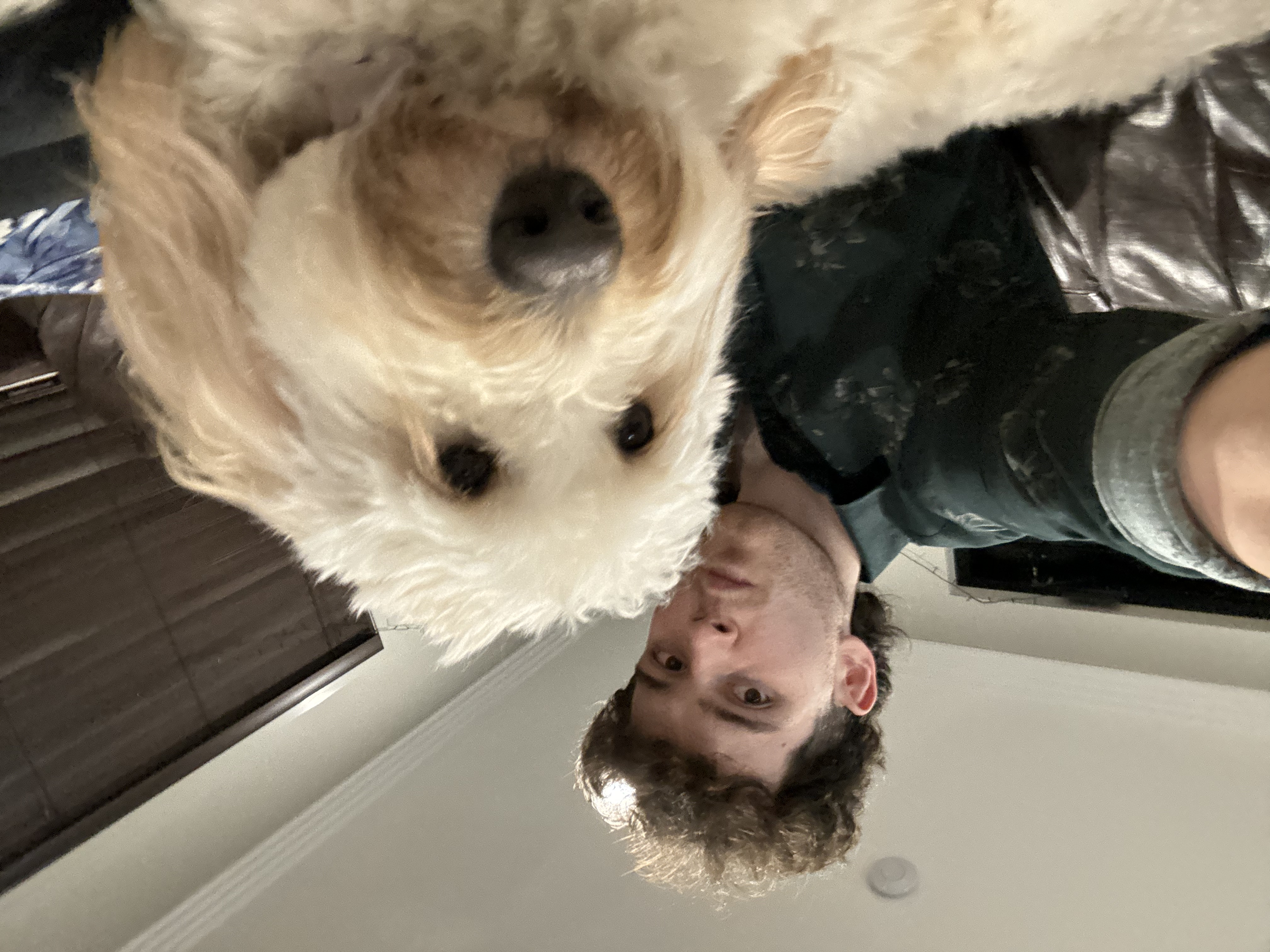 image-2