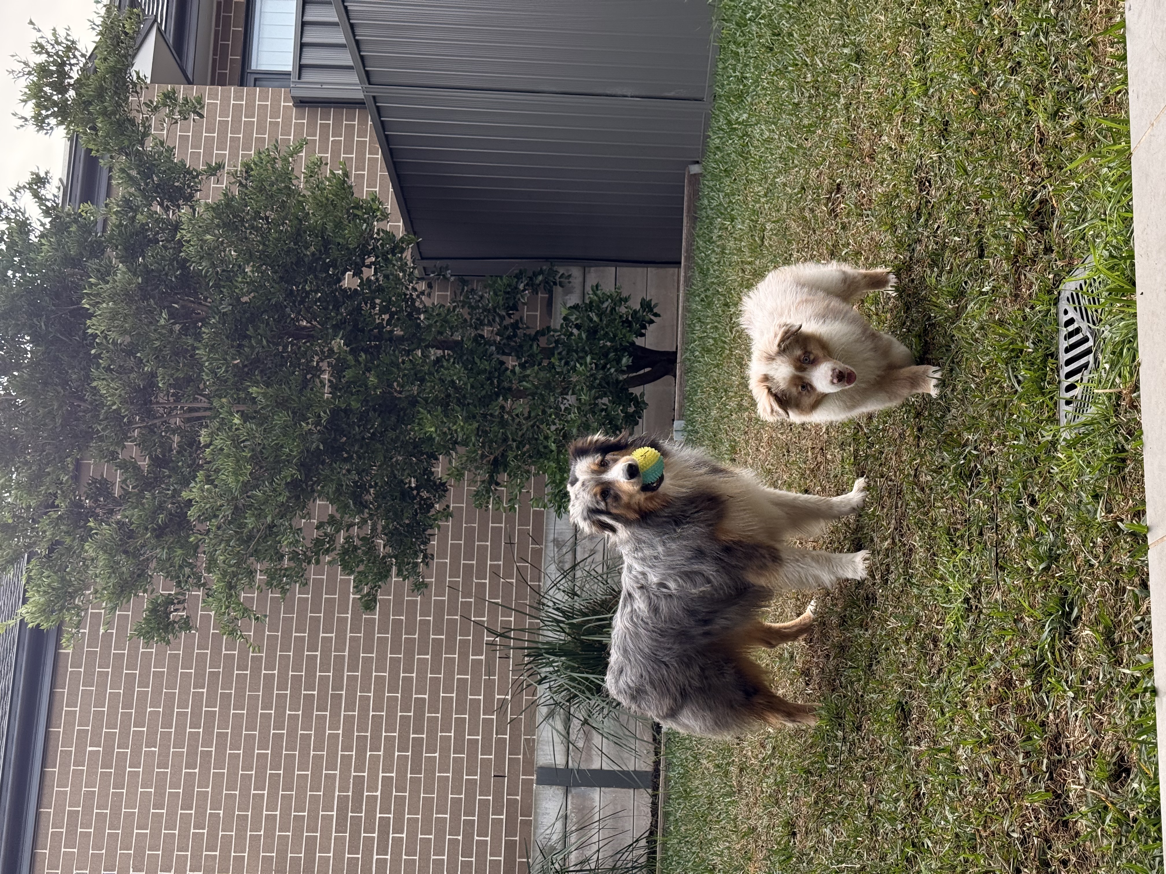 image-9