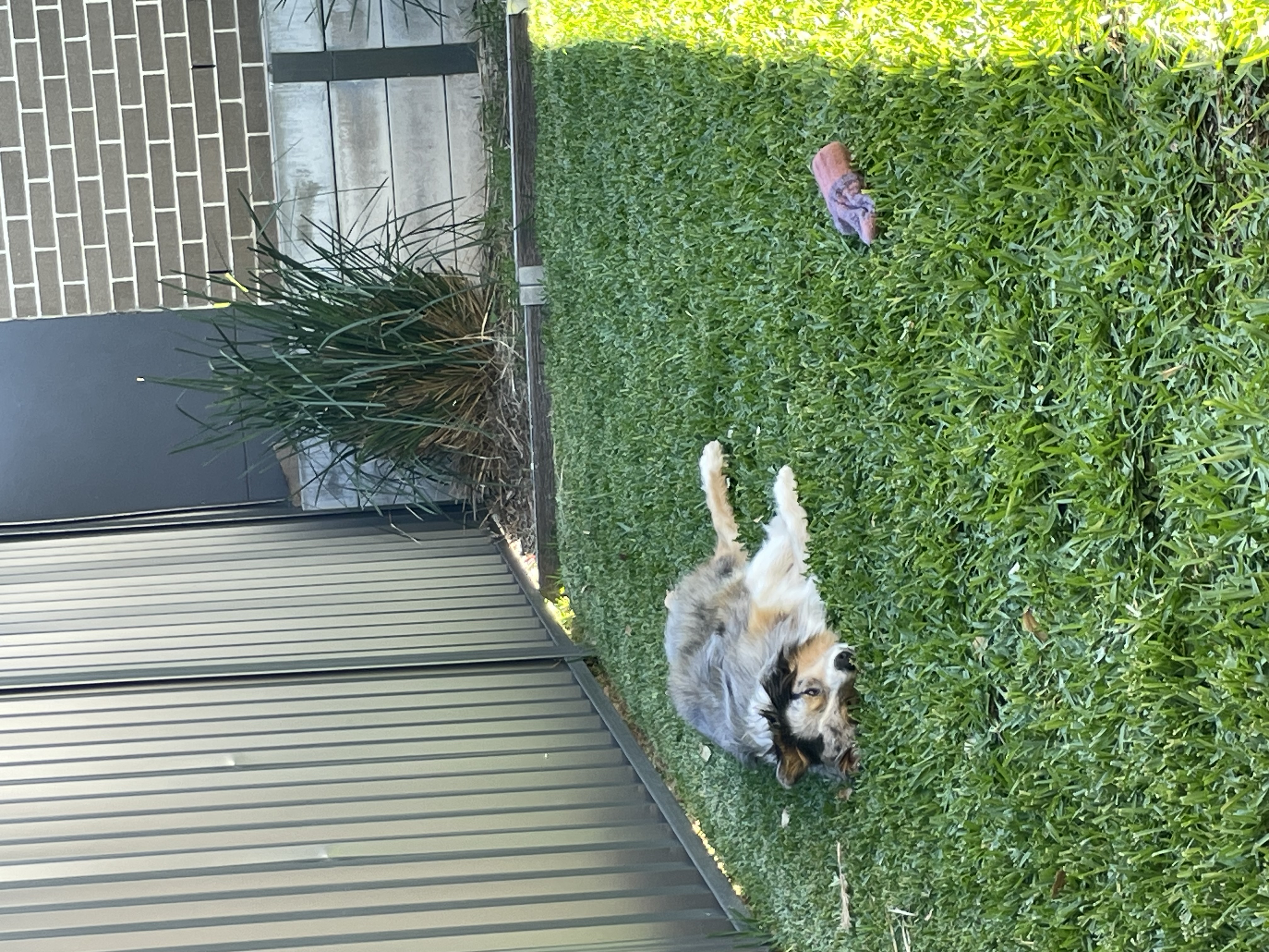 image-10