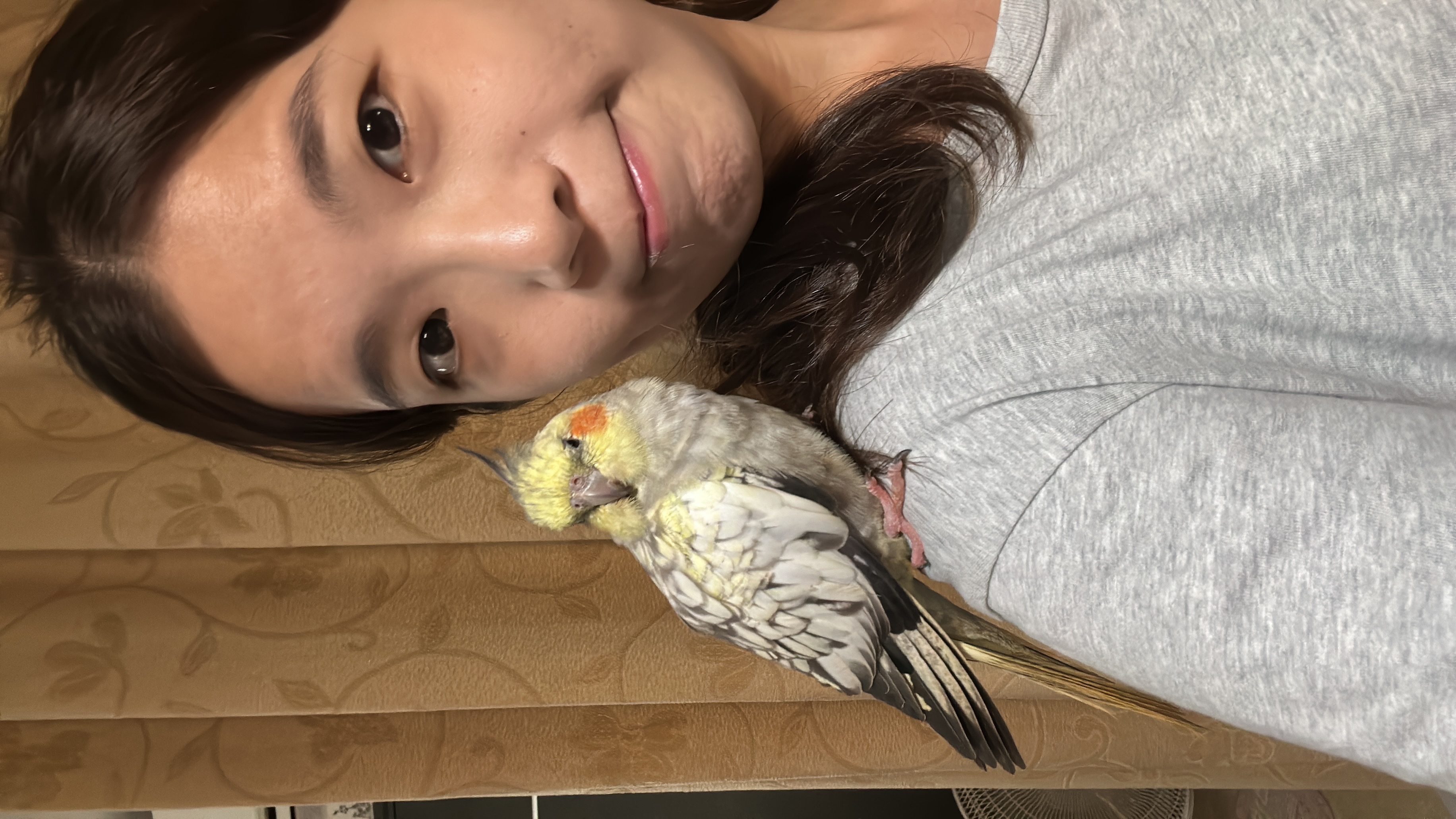 image-6