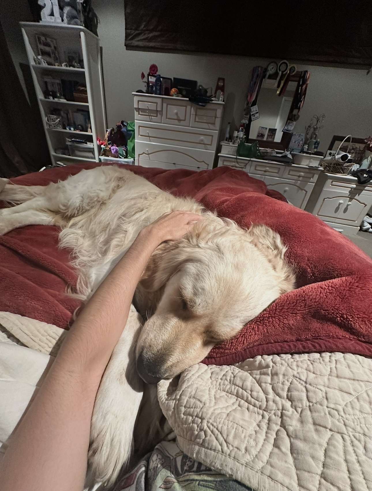 image-8