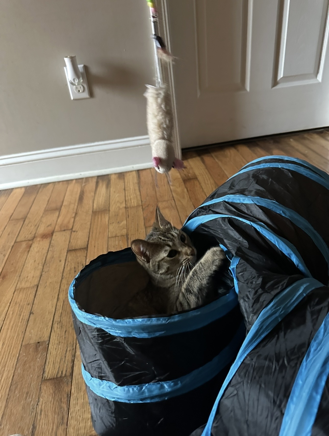 image-6