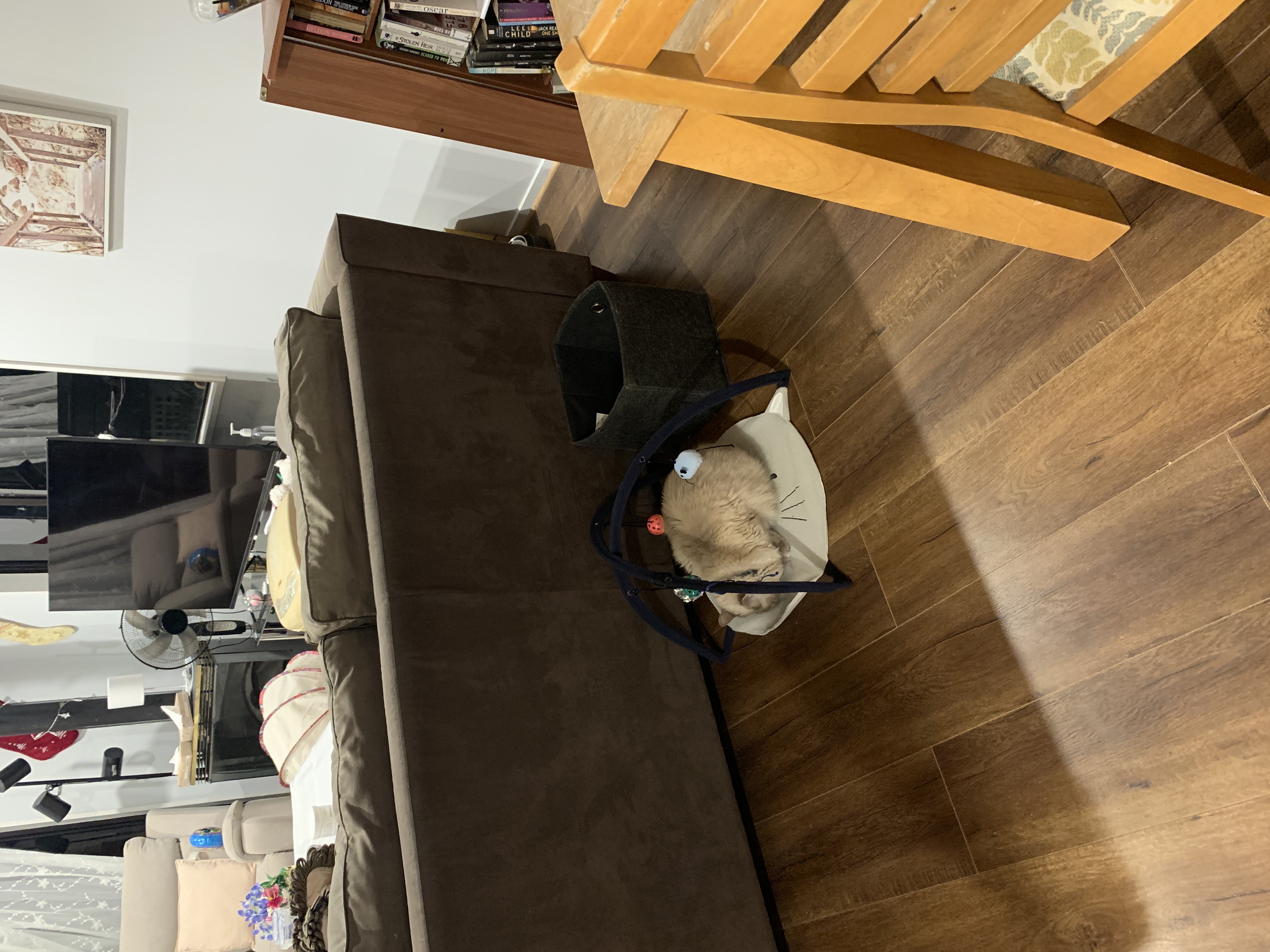 image-24