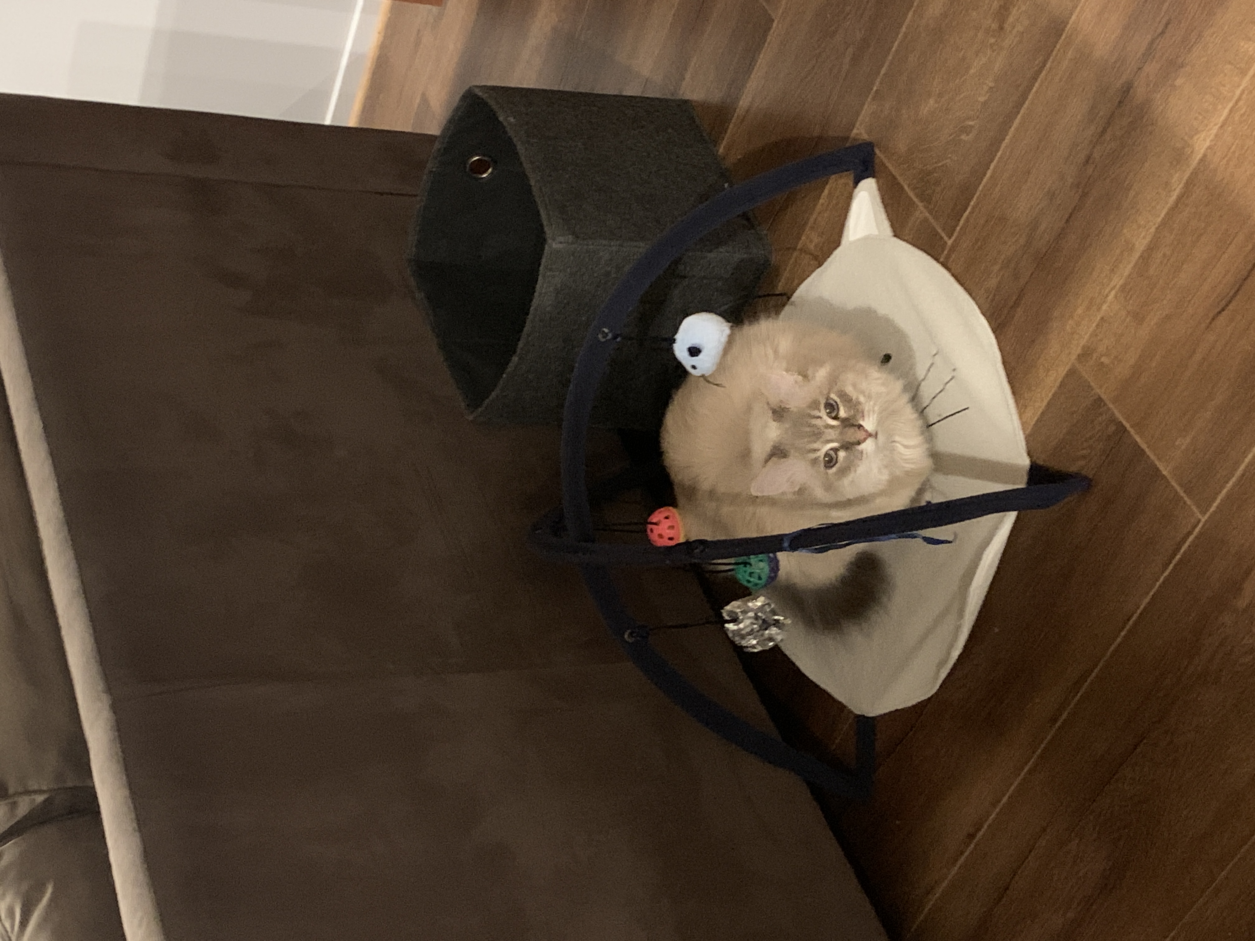 image-11