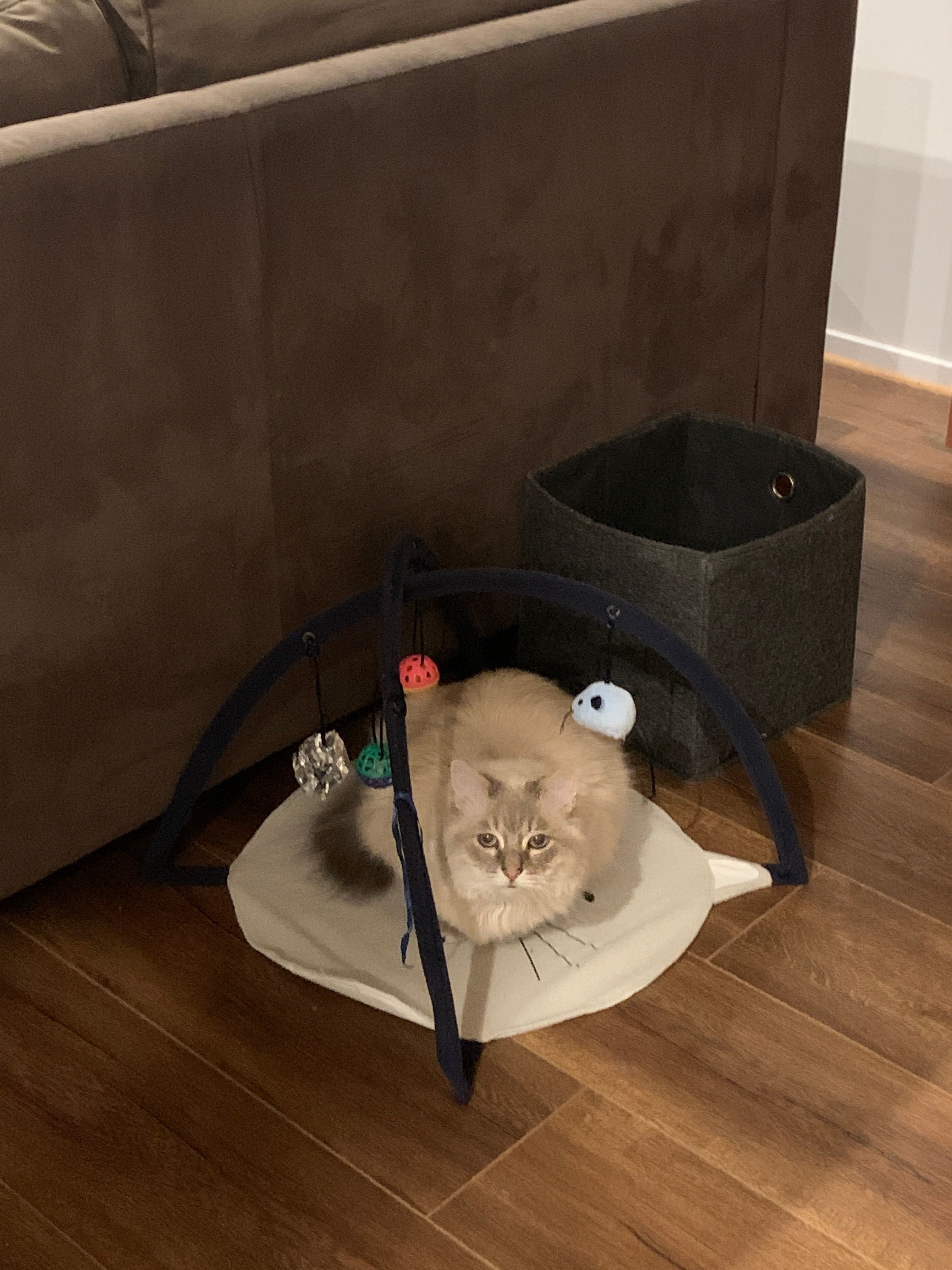 image-11