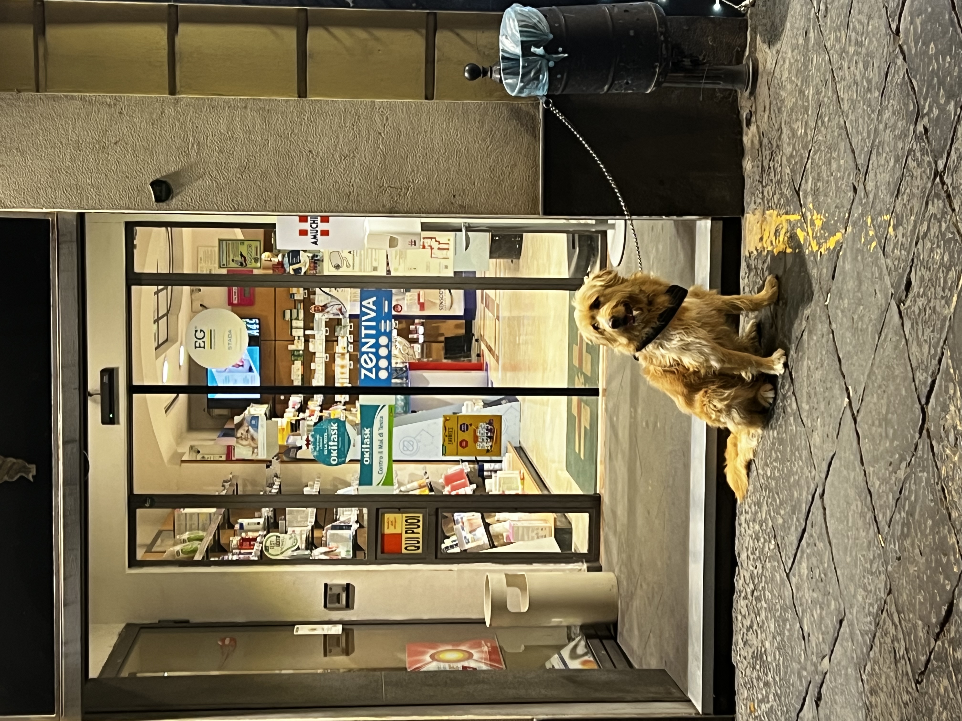 image-13