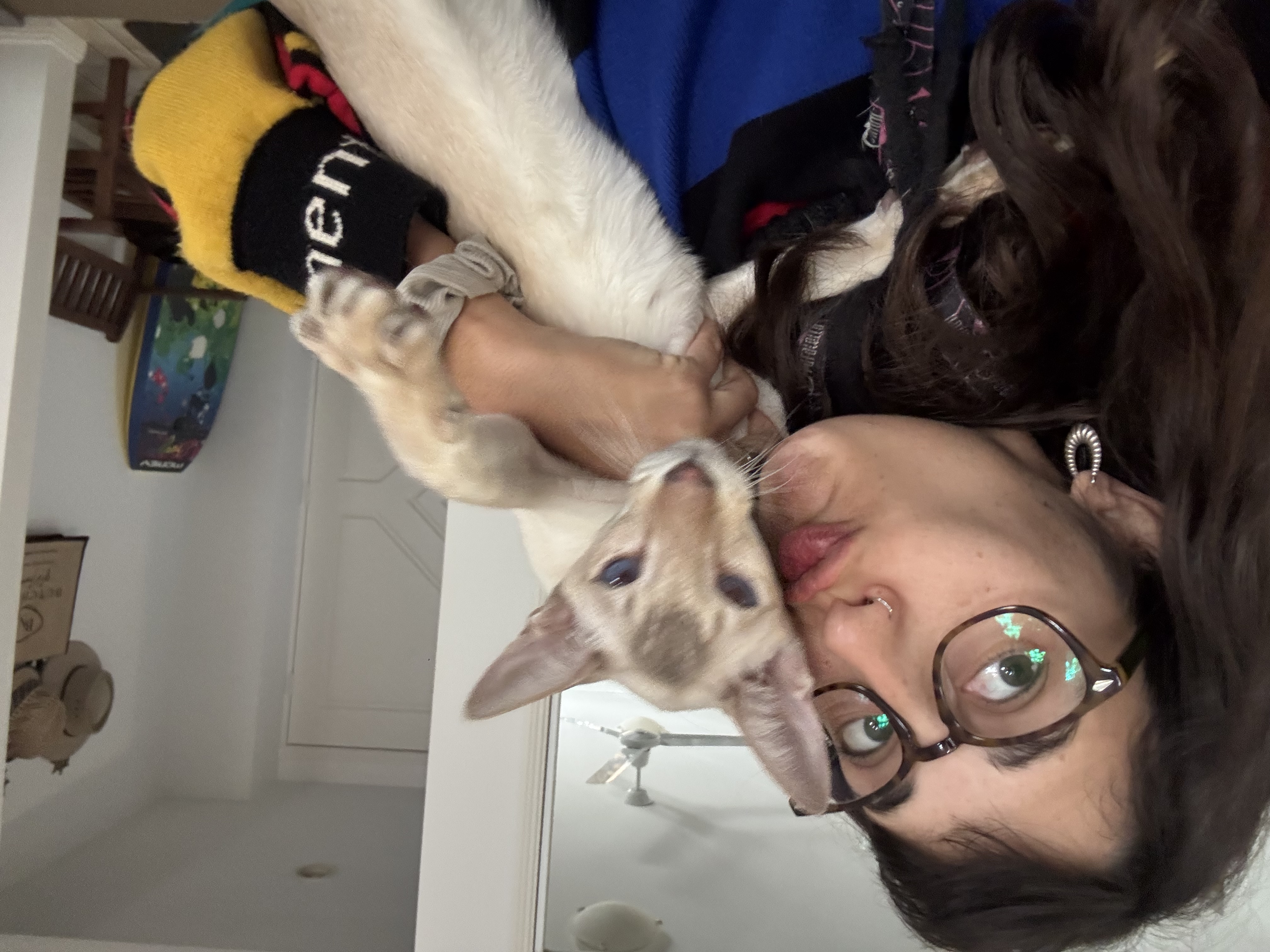 image-8