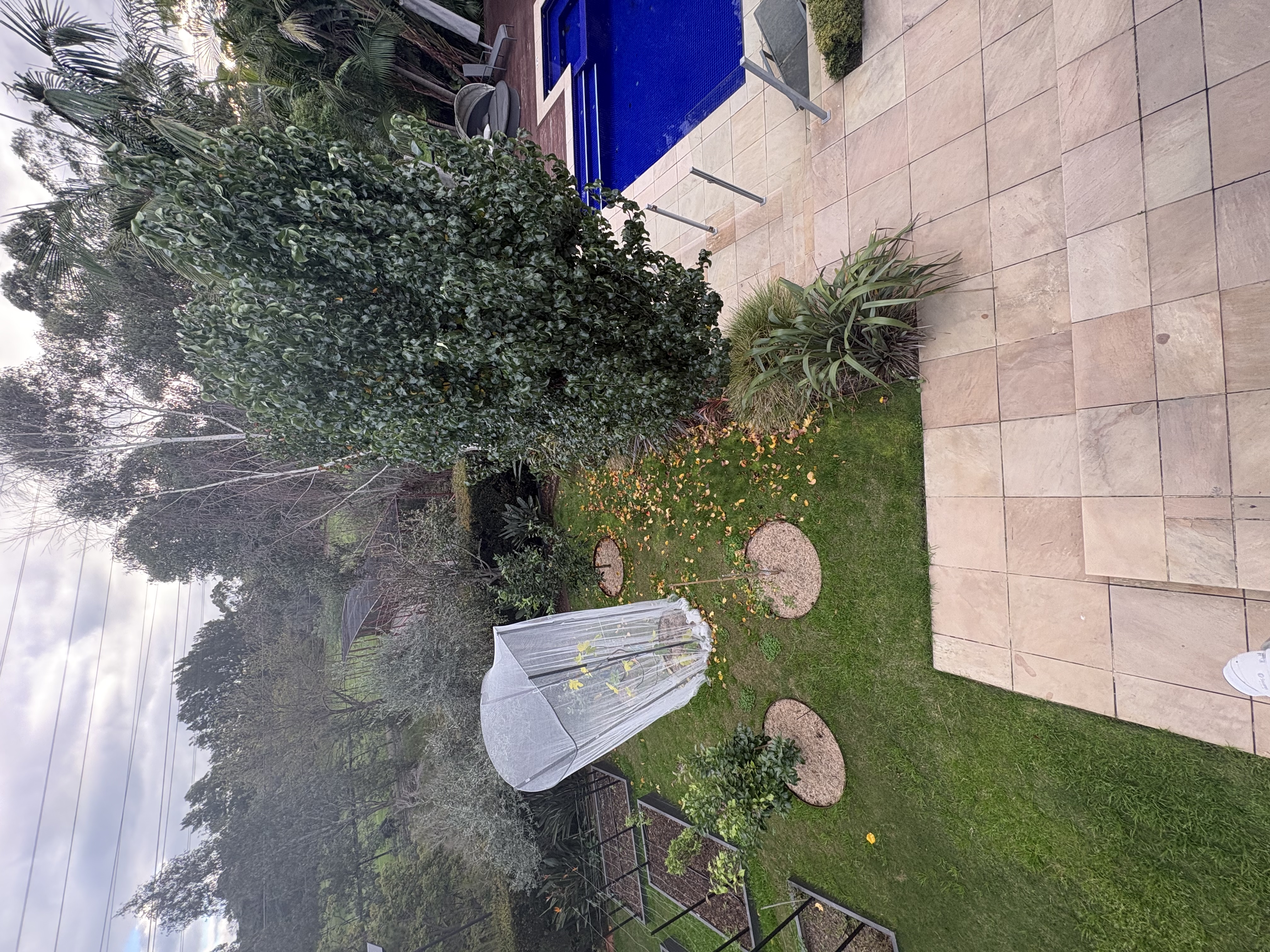 image-15