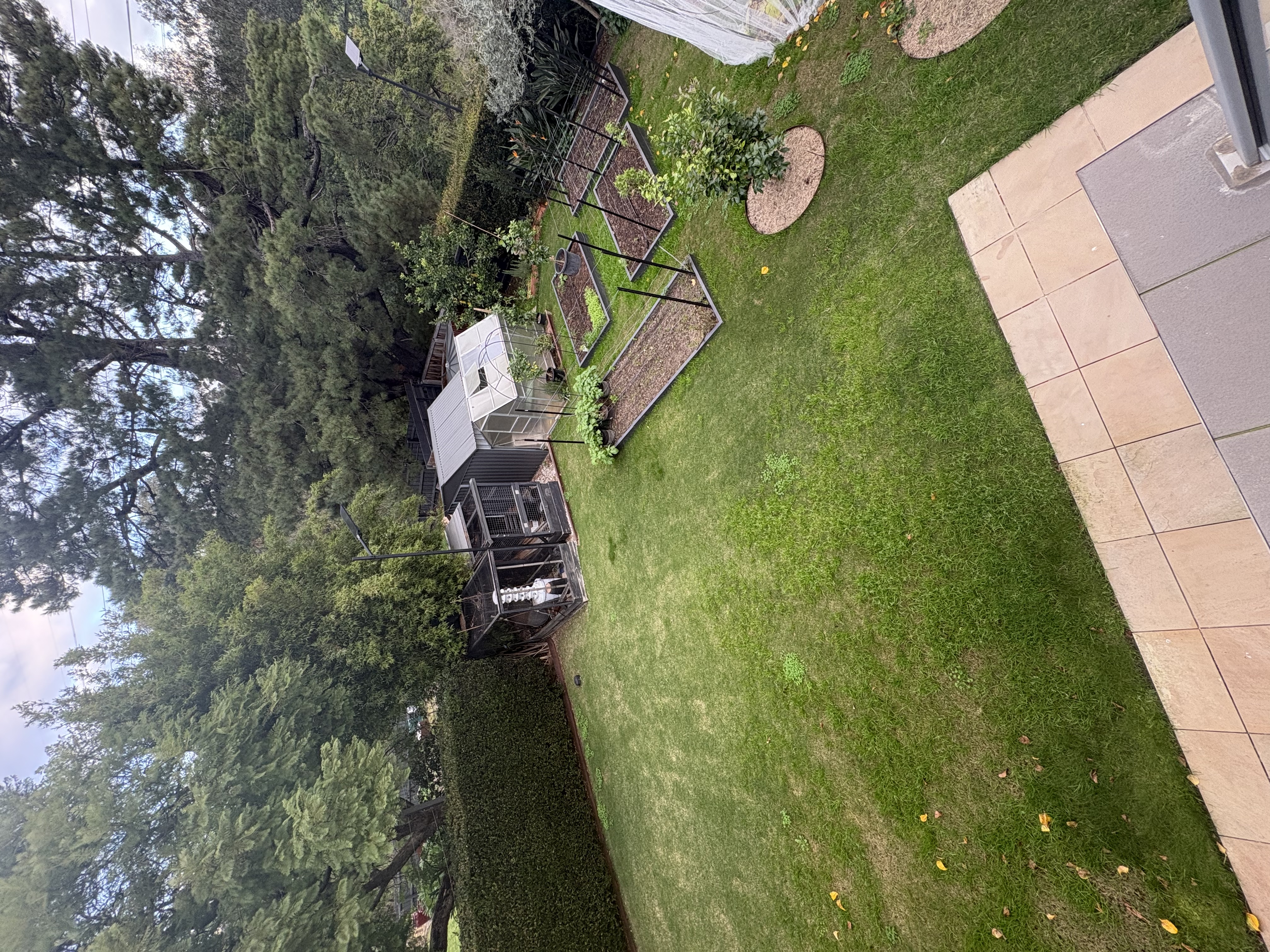 image-16