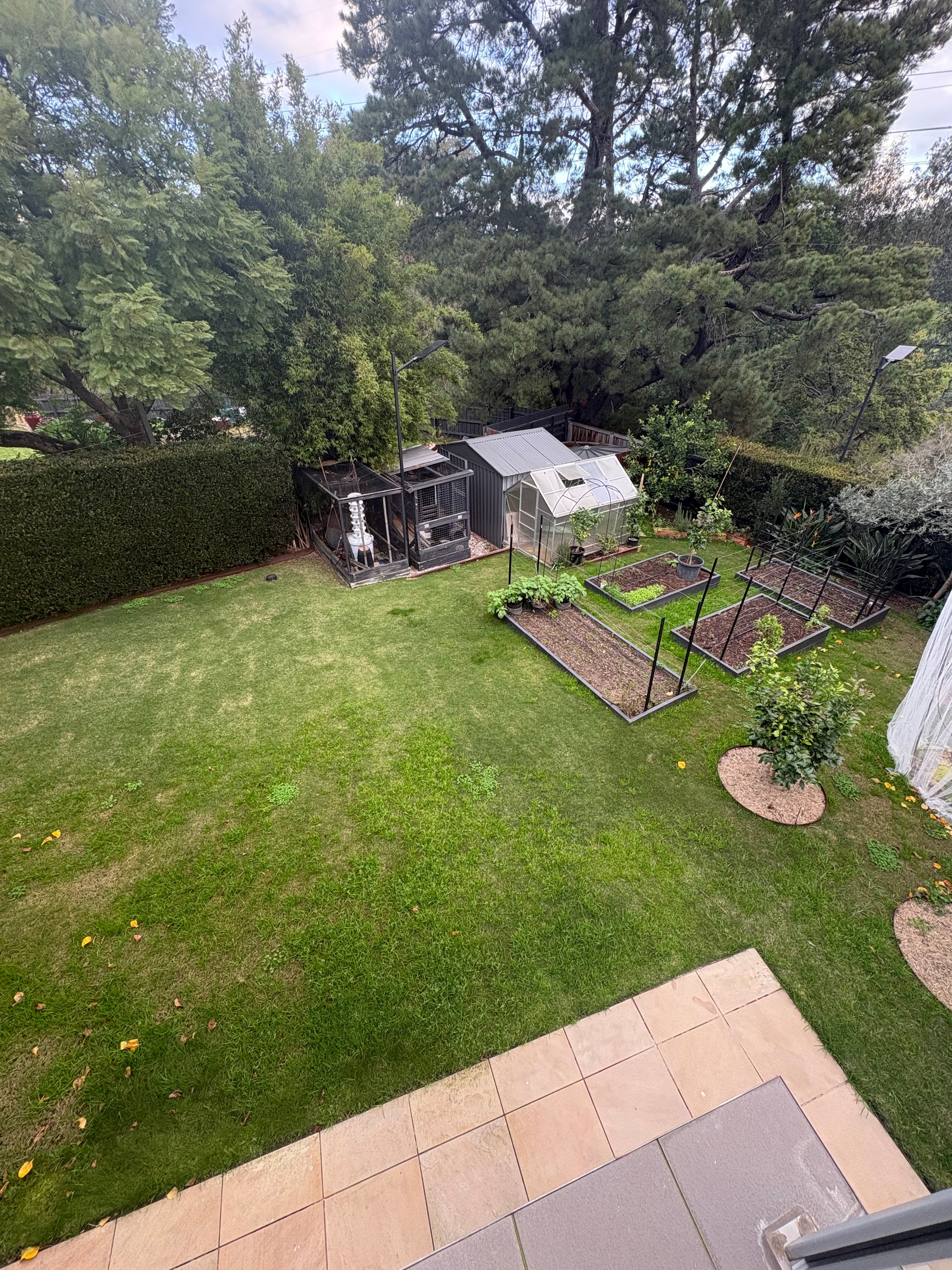 image-16