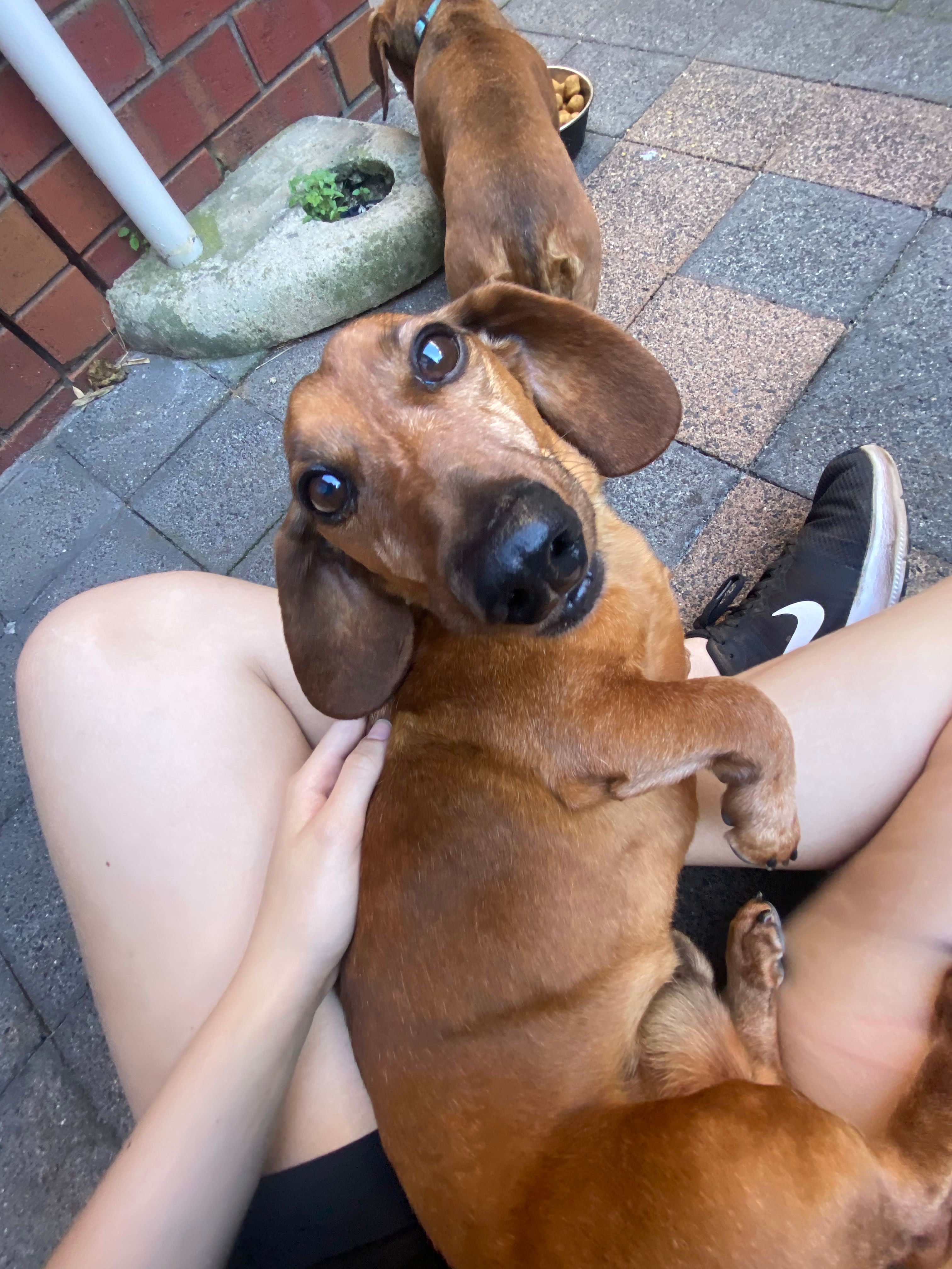 image-7