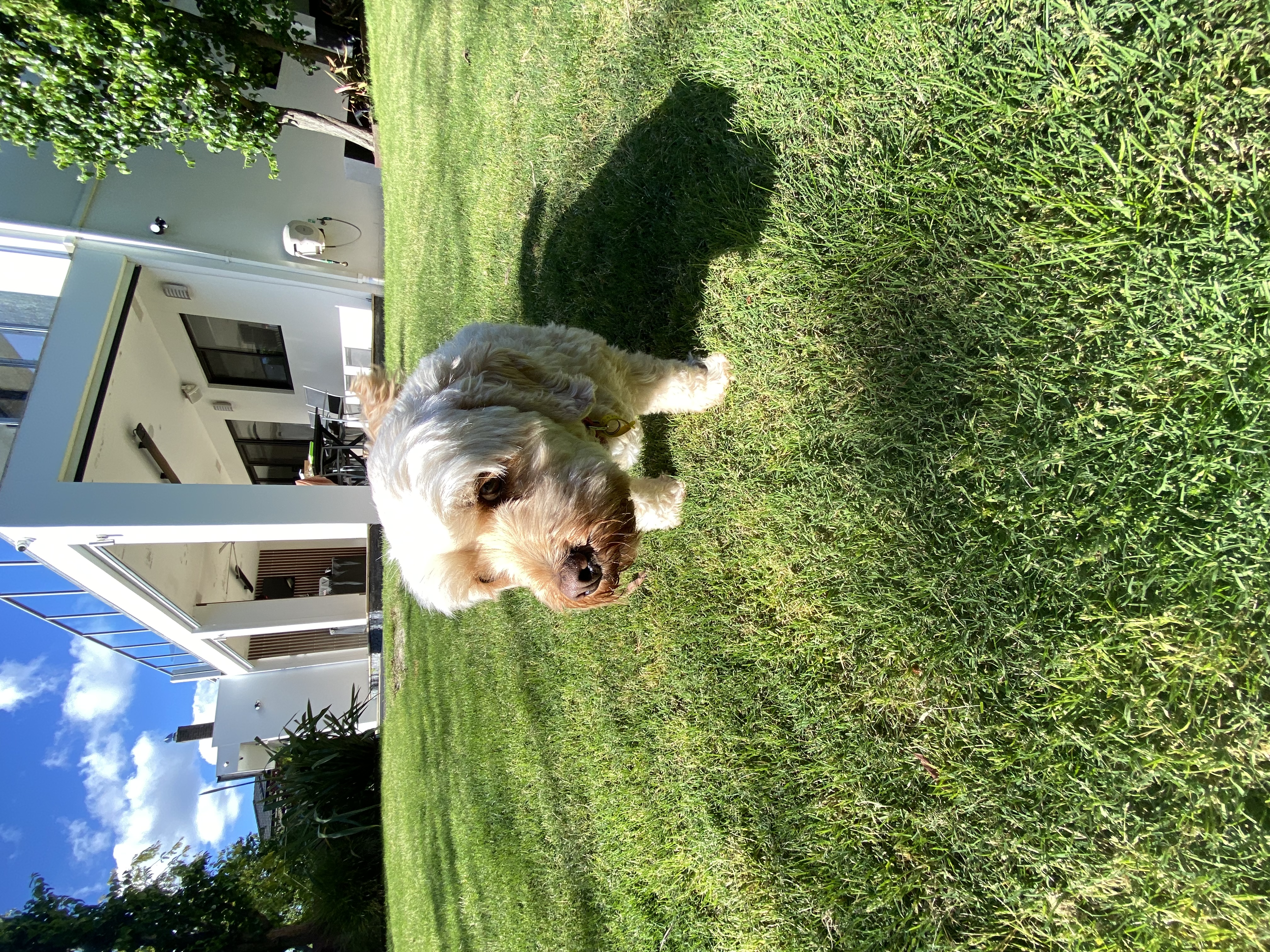 image-8
