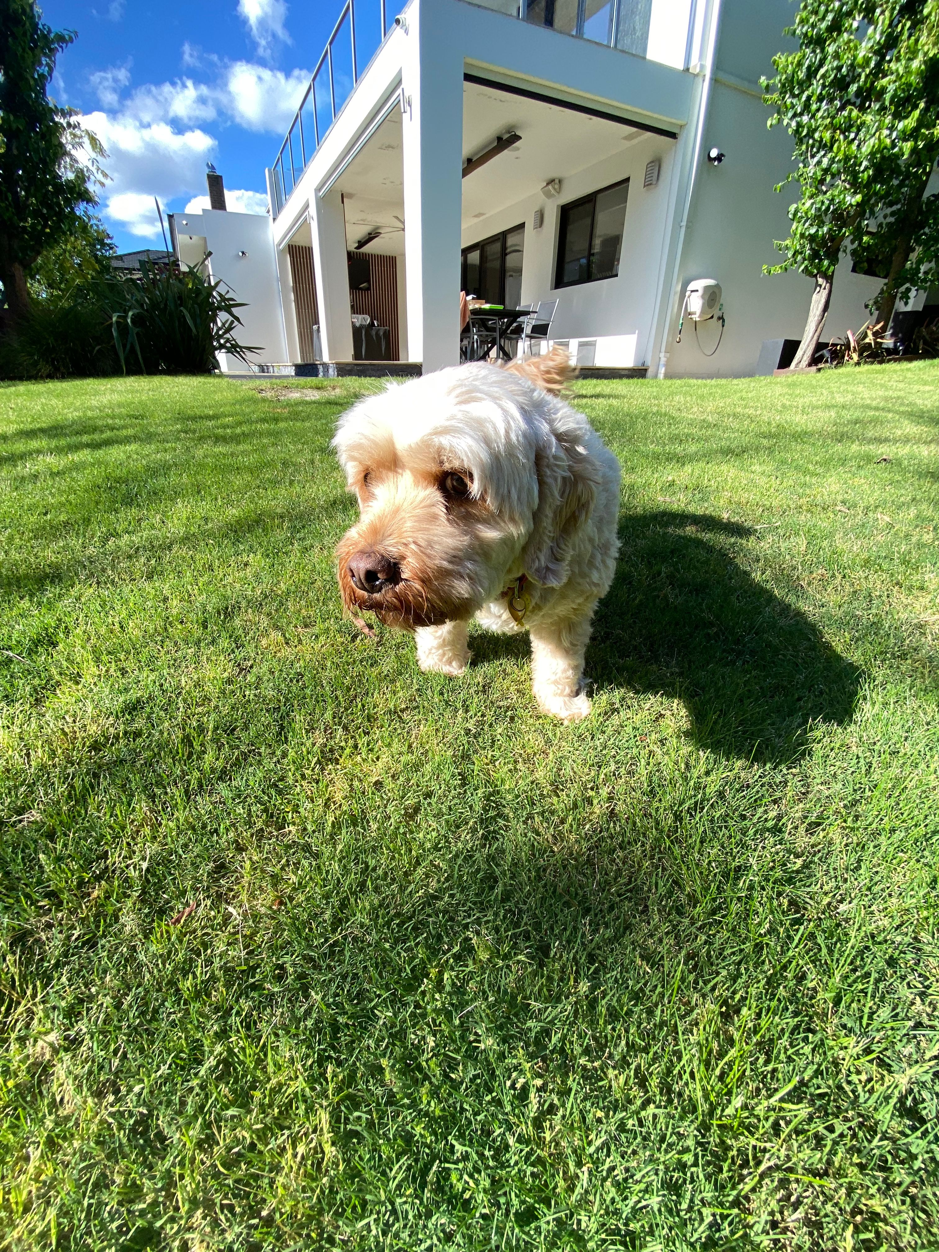 image-8